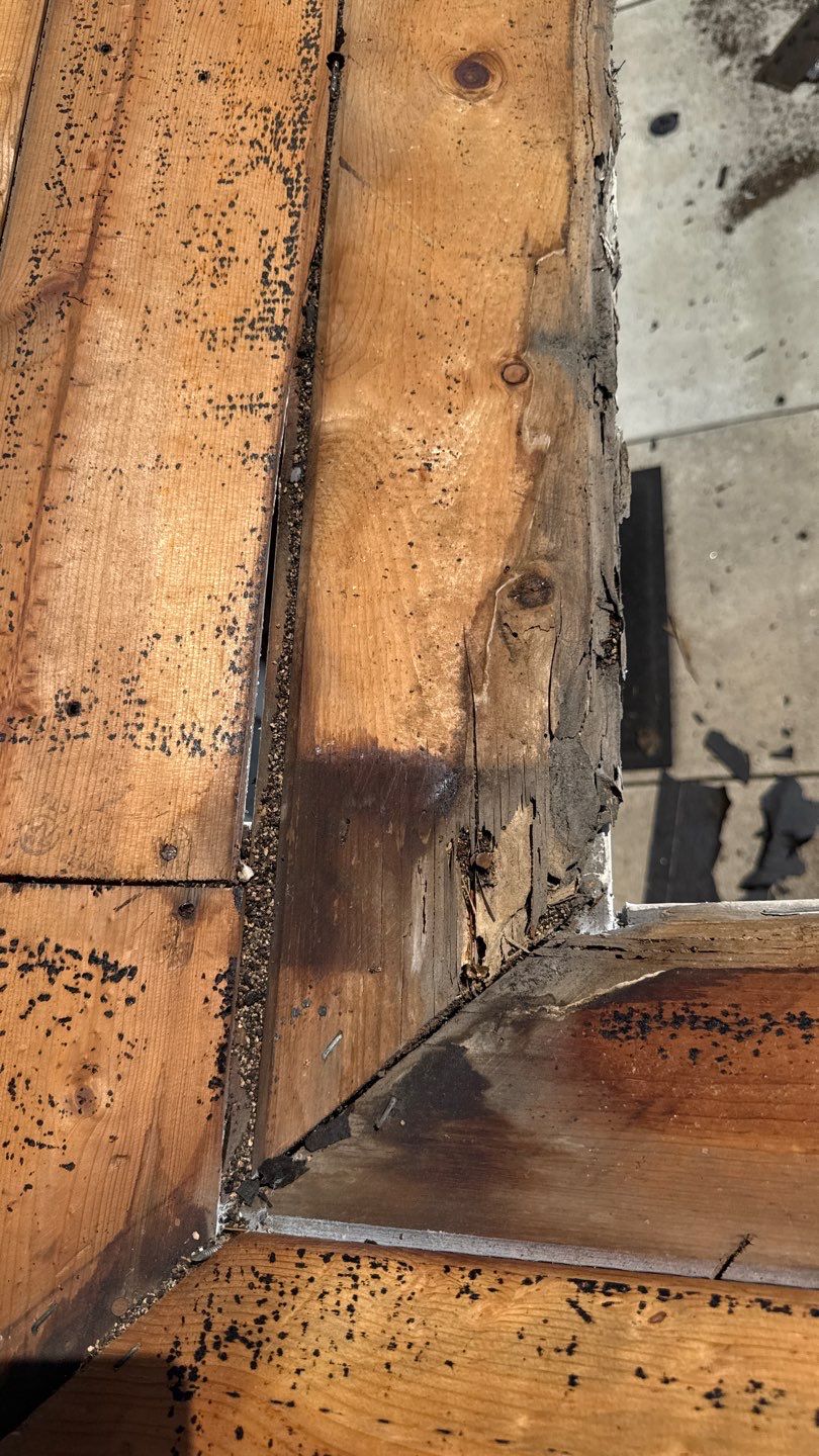 San Diego Roof Replacement and Wood Fascia Repair with Malarkey Materials by Reliable Roofing San Diego Inc.