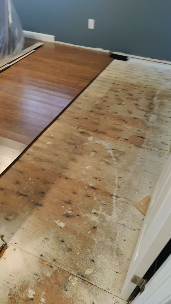 Water Damage  by Accountable Home Services