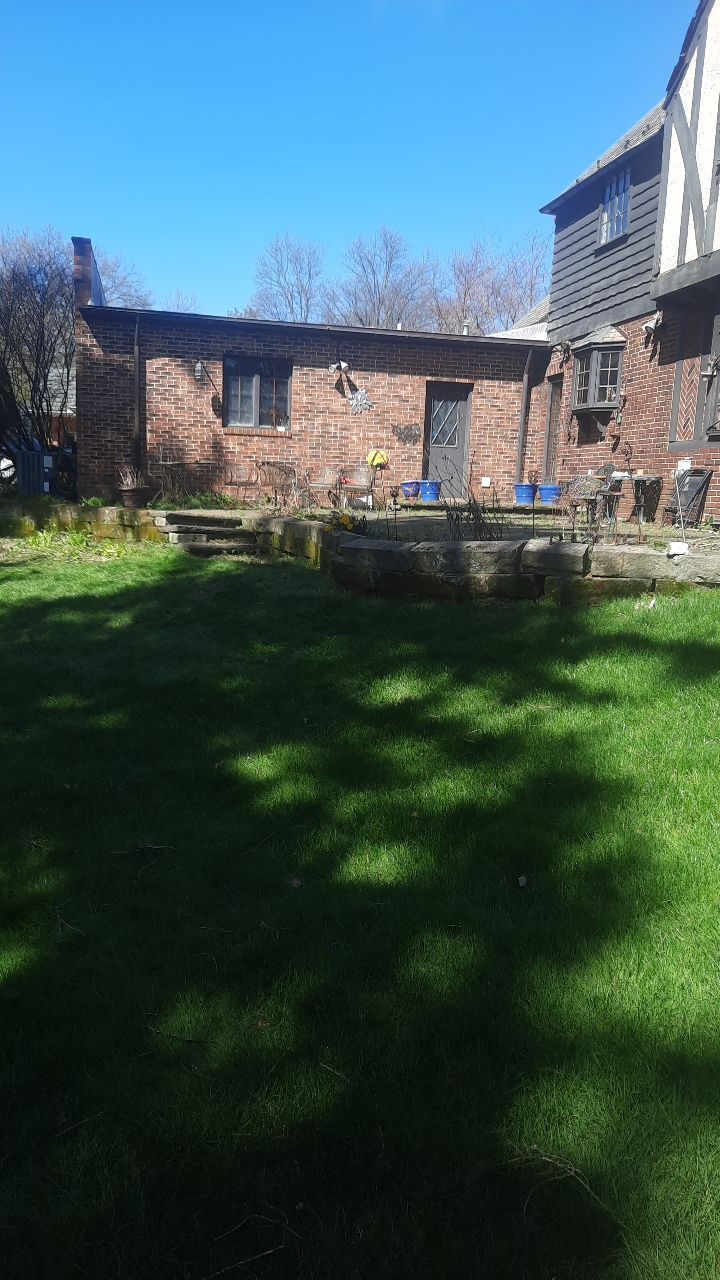 Tree Removal using Tree Removal by Mike Jones & Sons Tree Service LLC 