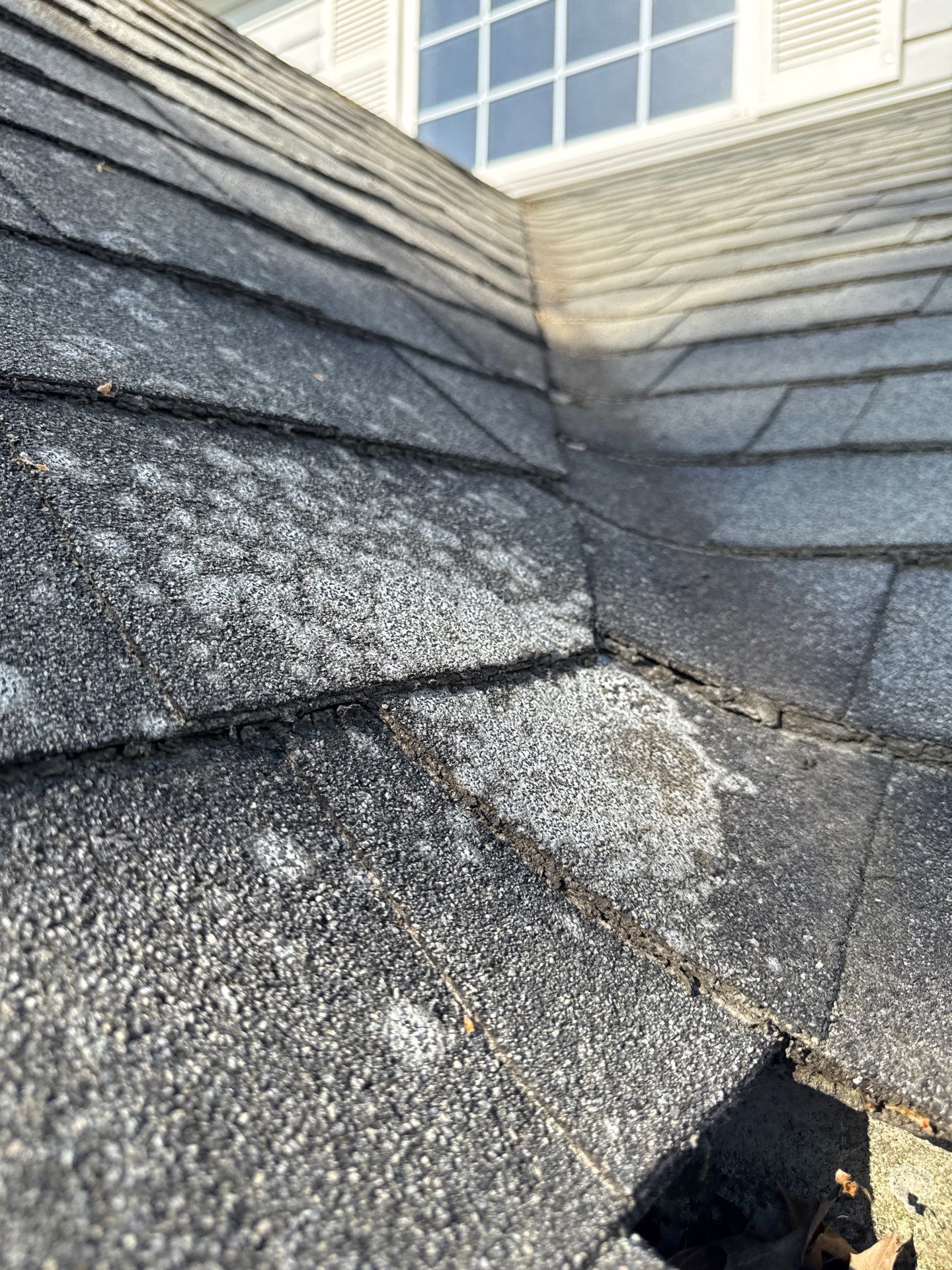 Residential Reroof Shingle -Charcoal by Top Notch Roofing Inc