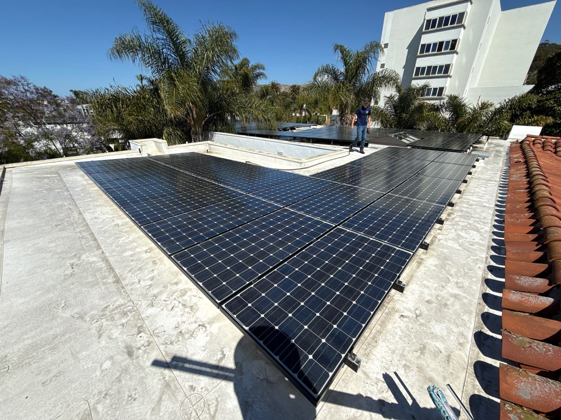 Commercial Solar Cleaning by Sunrise 805