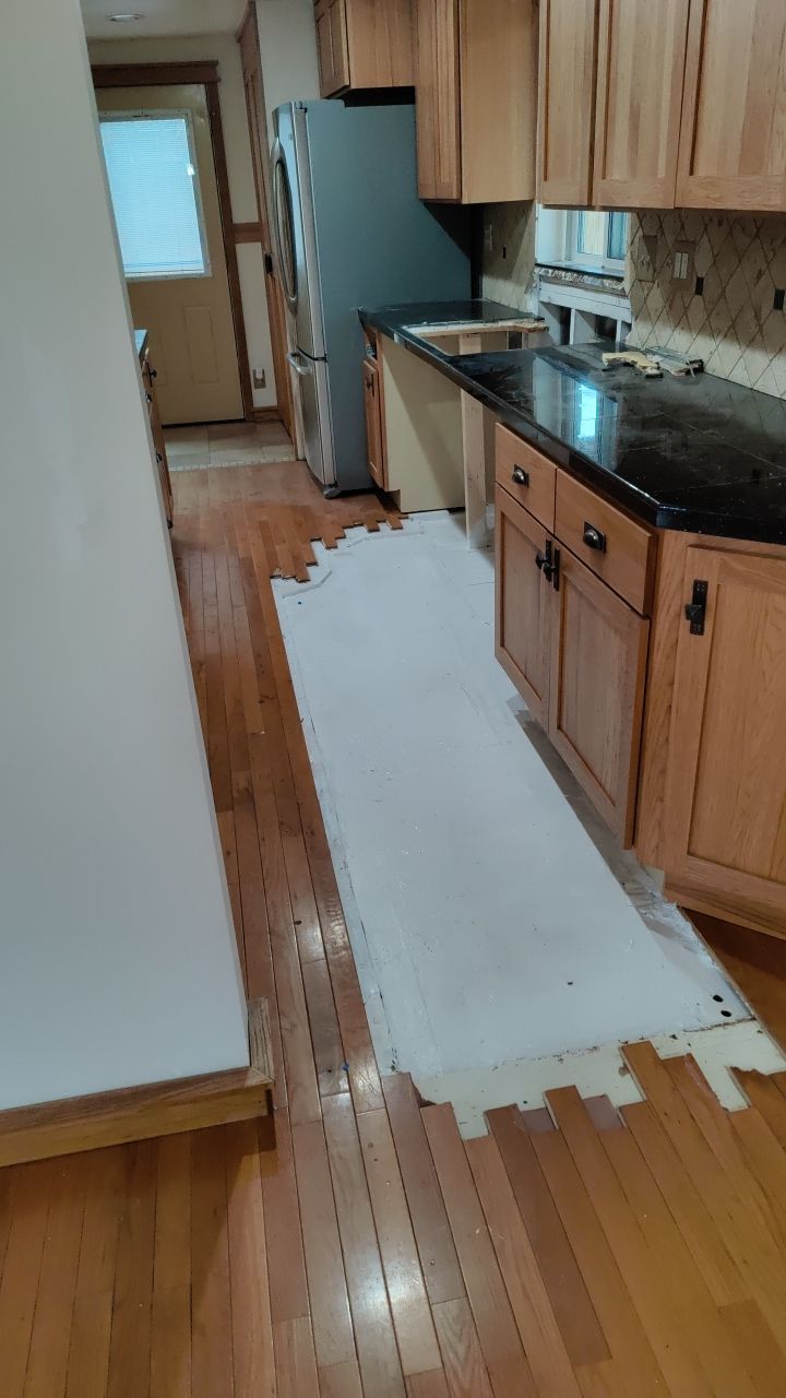 Mold Damage by Accountable Home Services