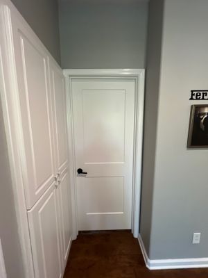 Monroe 2 panel doors