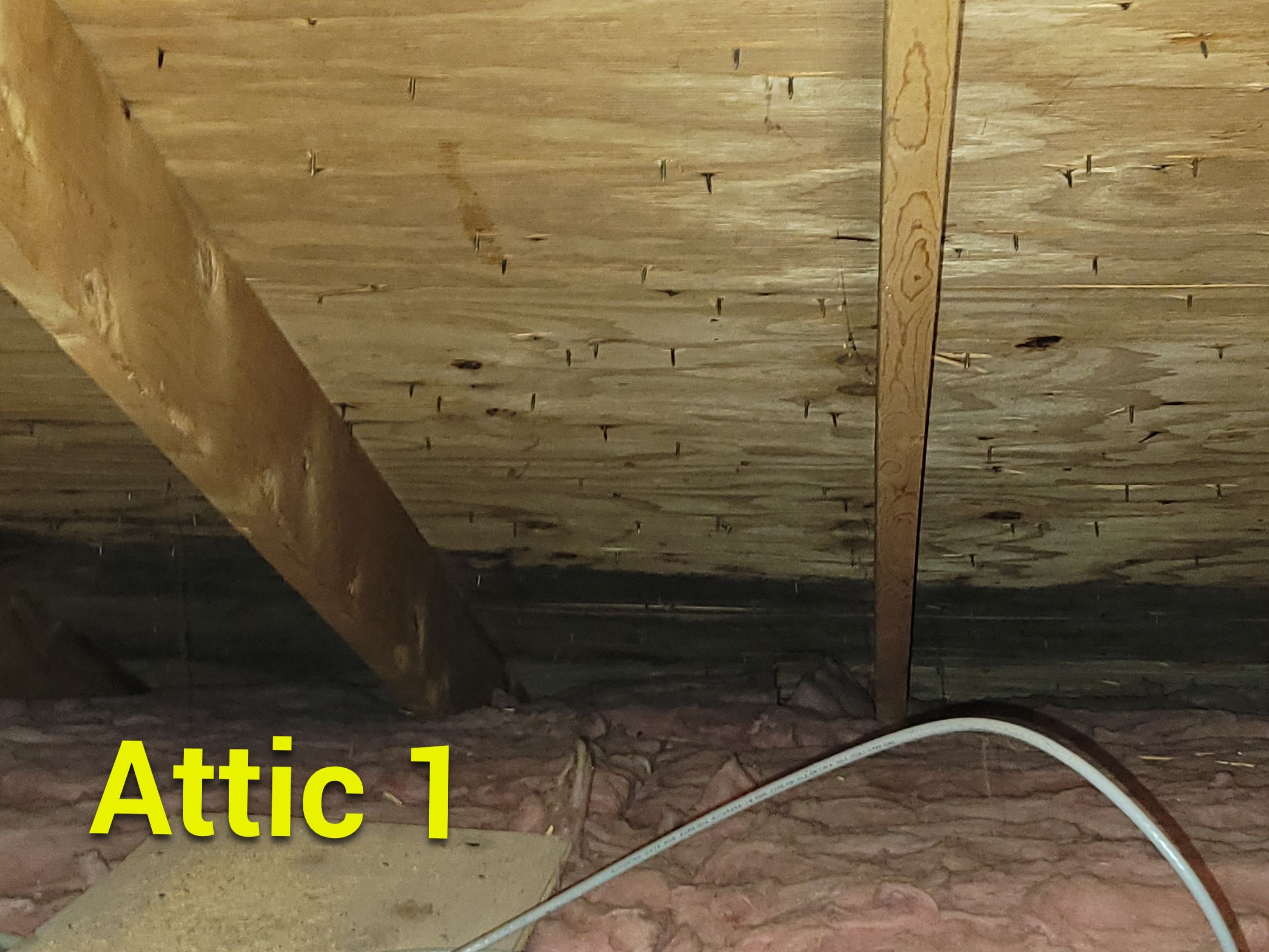 Attic Mold Remediation by Chicagoland Water Medics