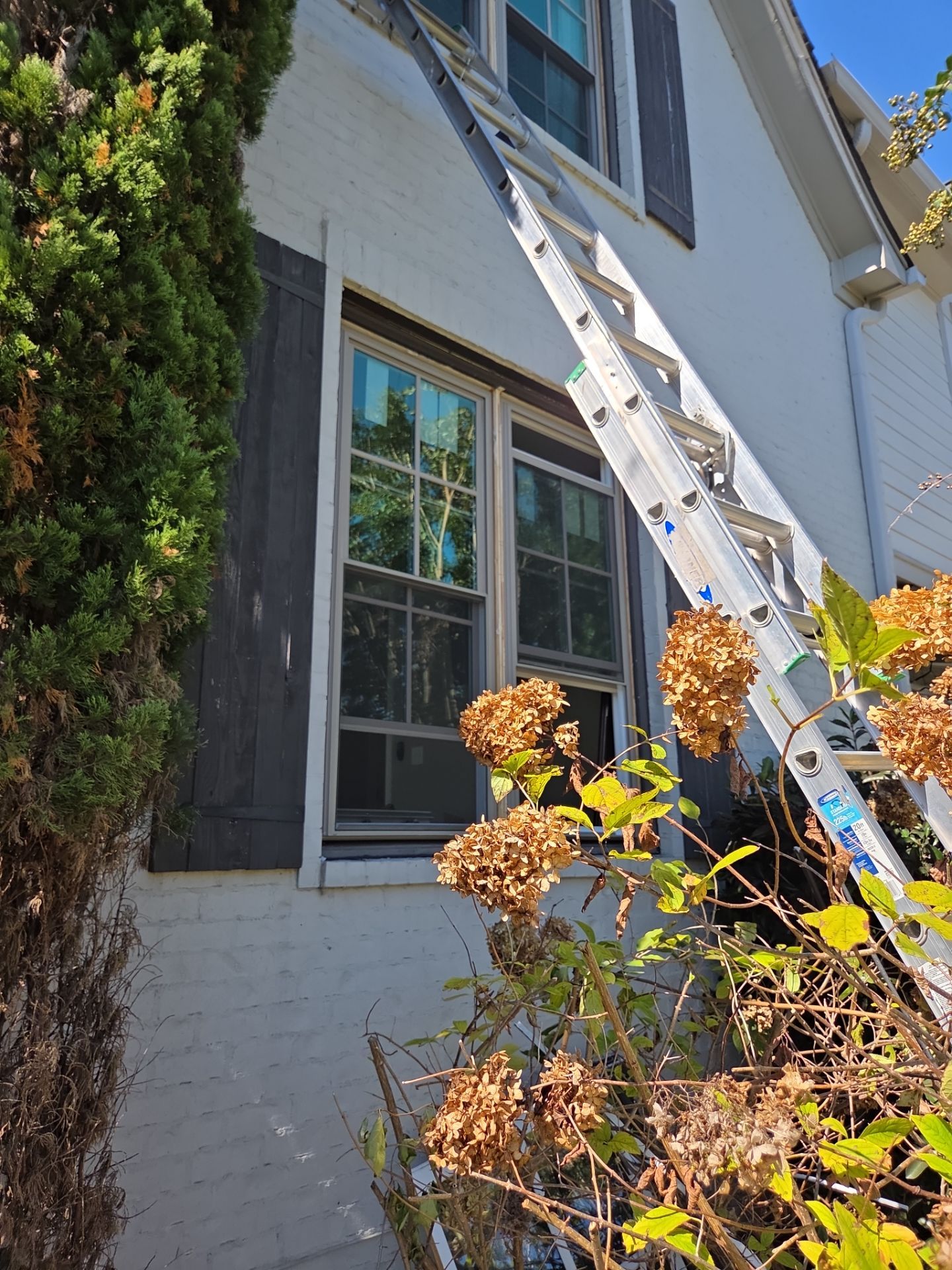 Kothary Project in Vestavia Hills by The Window Source