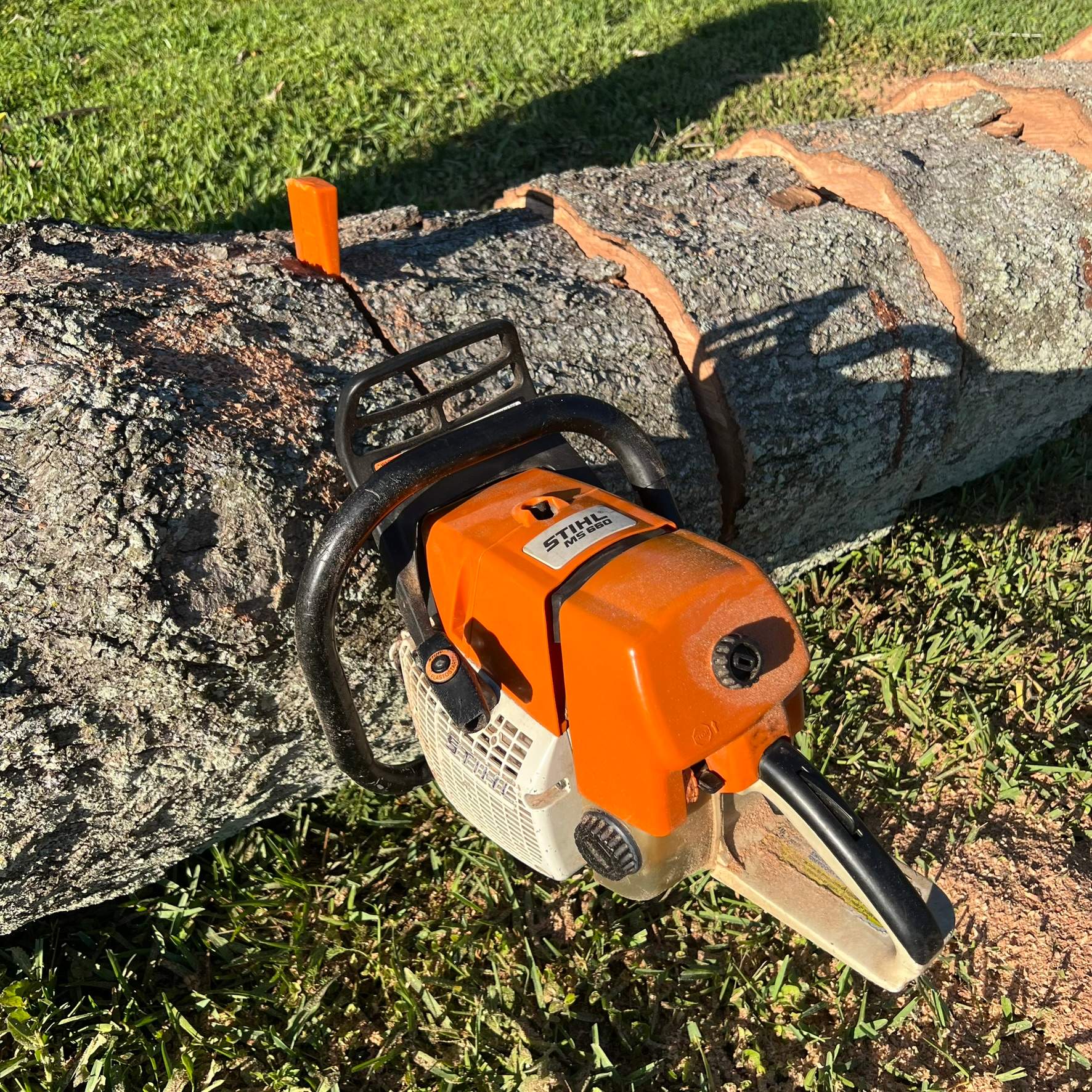 Tree Work | The Avenues Mall by ProGreen Services