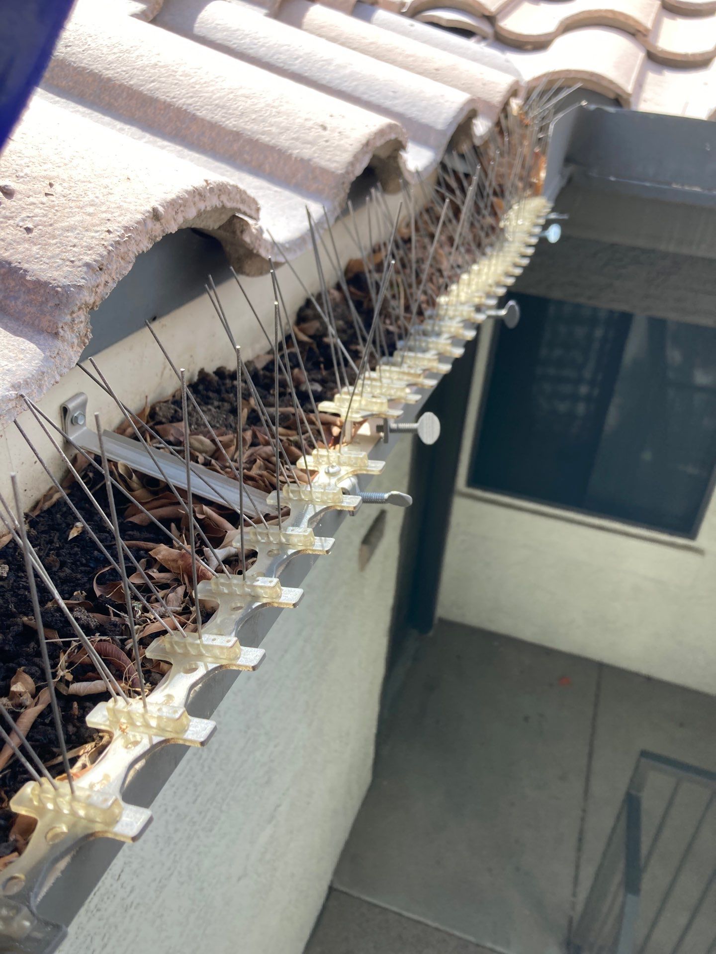 Commercial gutter cleaning Georgia before photo with filled gutters