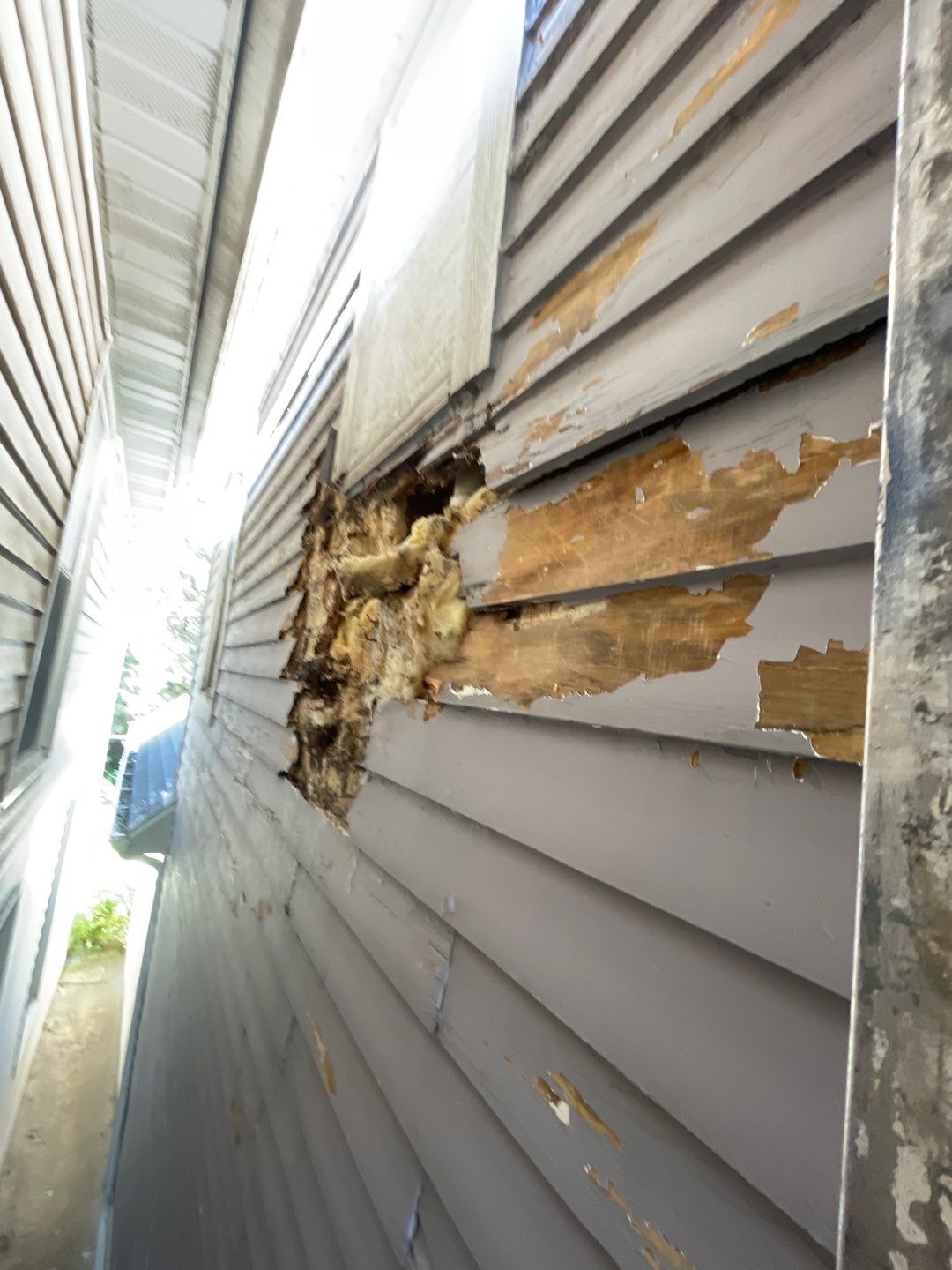 Megna Crew Showcase by Megna Painting