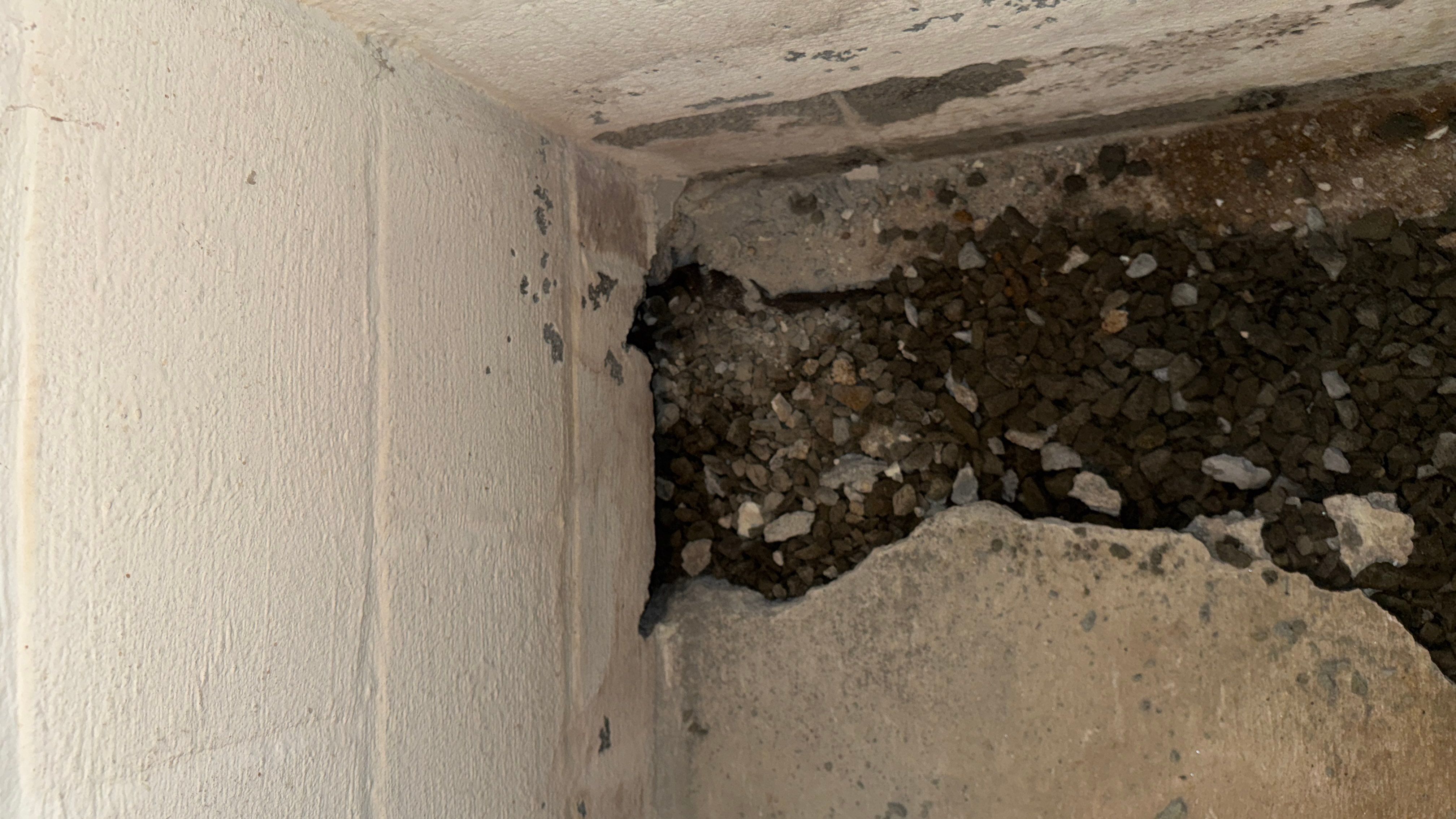 Interior French Drain Washington Township, NJ by Pure Service Pro, LLC 