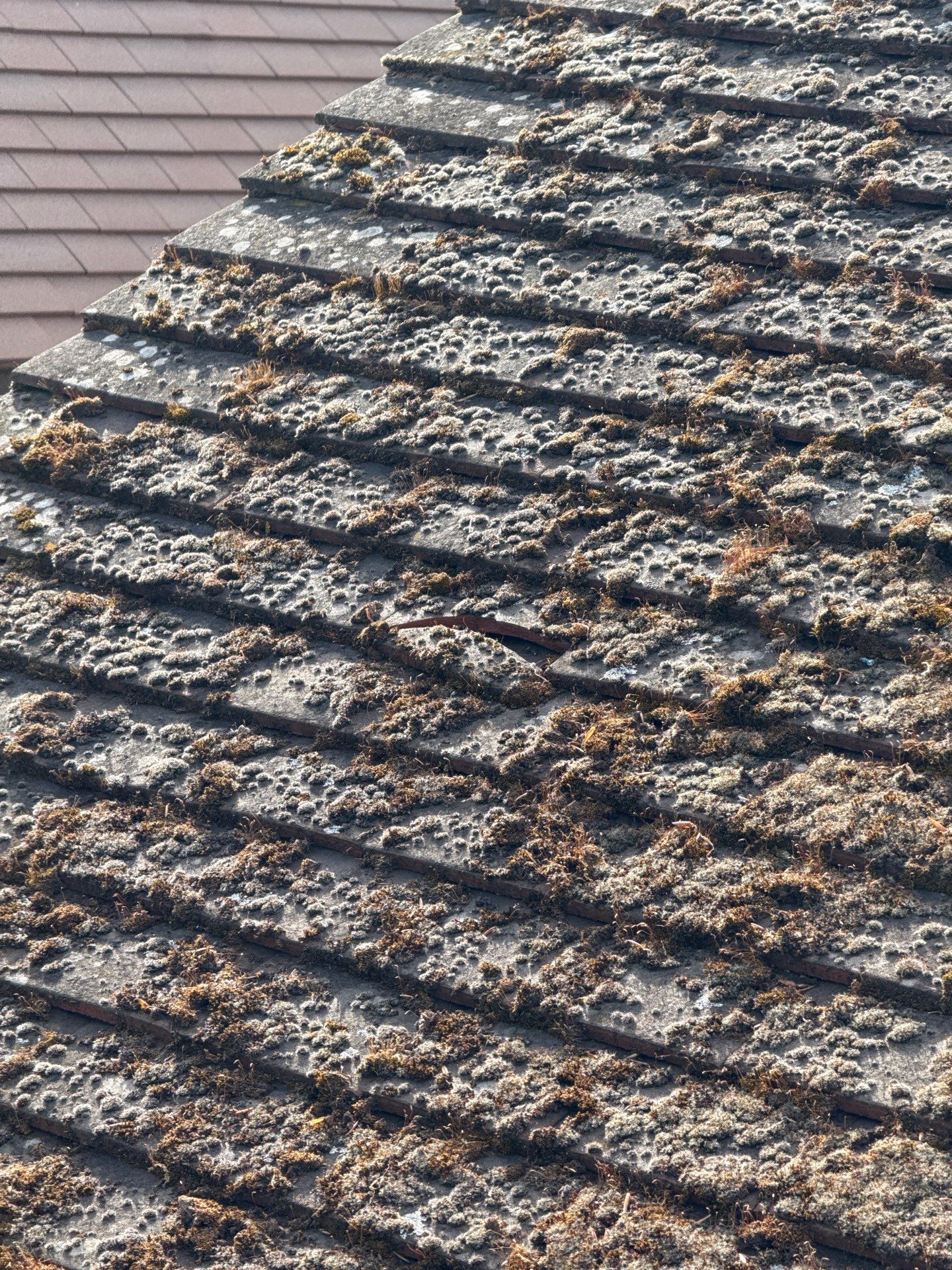 Roof Cleaning by Ges Exterior Cleaning ltd