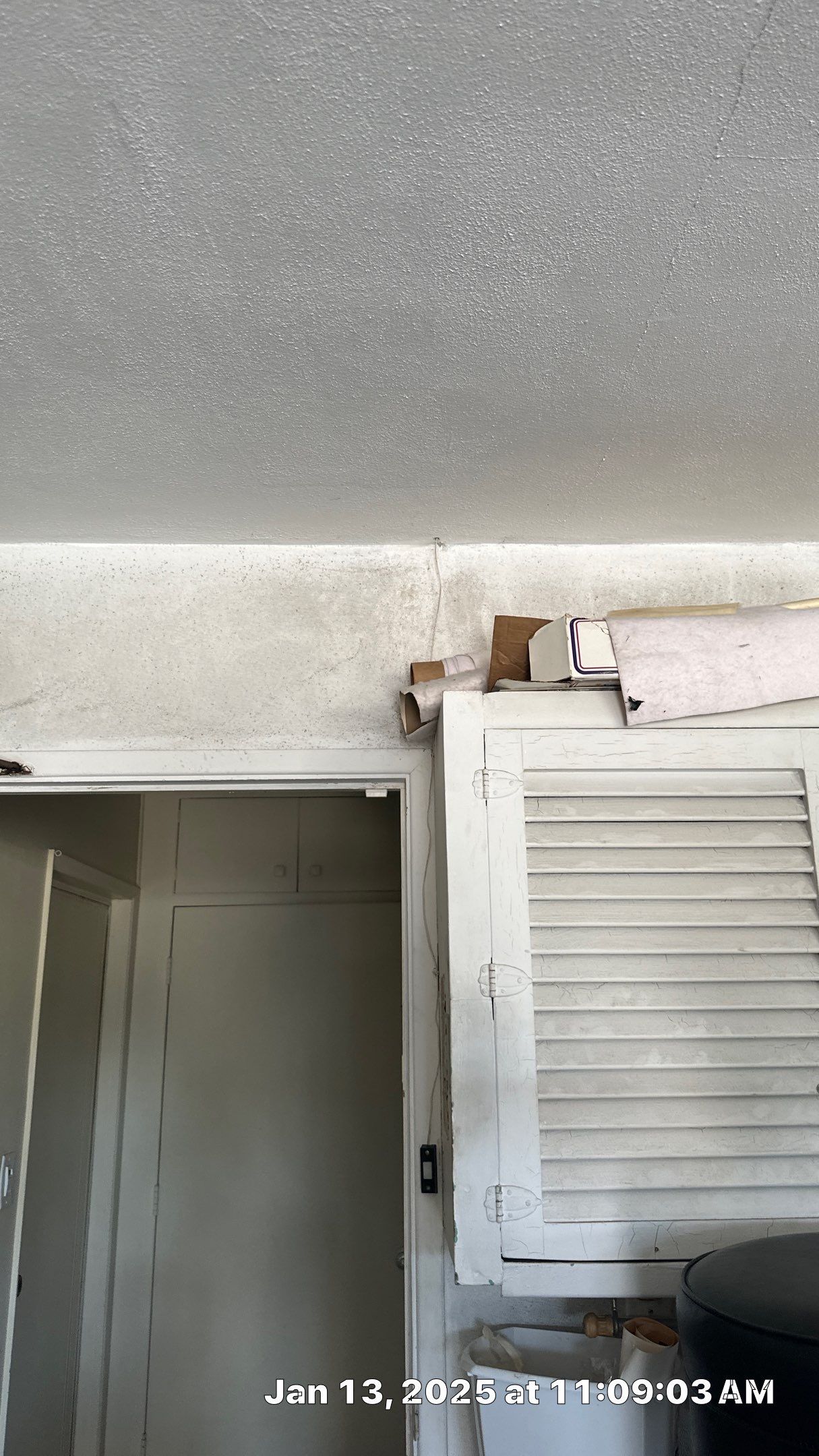 Mold Assessment using IR Camera, Moisture Meter, Air Cassette samples and Tape lifts by Building performance Solutions LLC