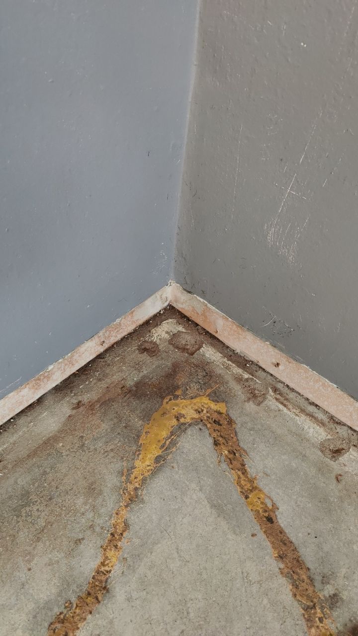 Mold Remediation by Accountable Home Services