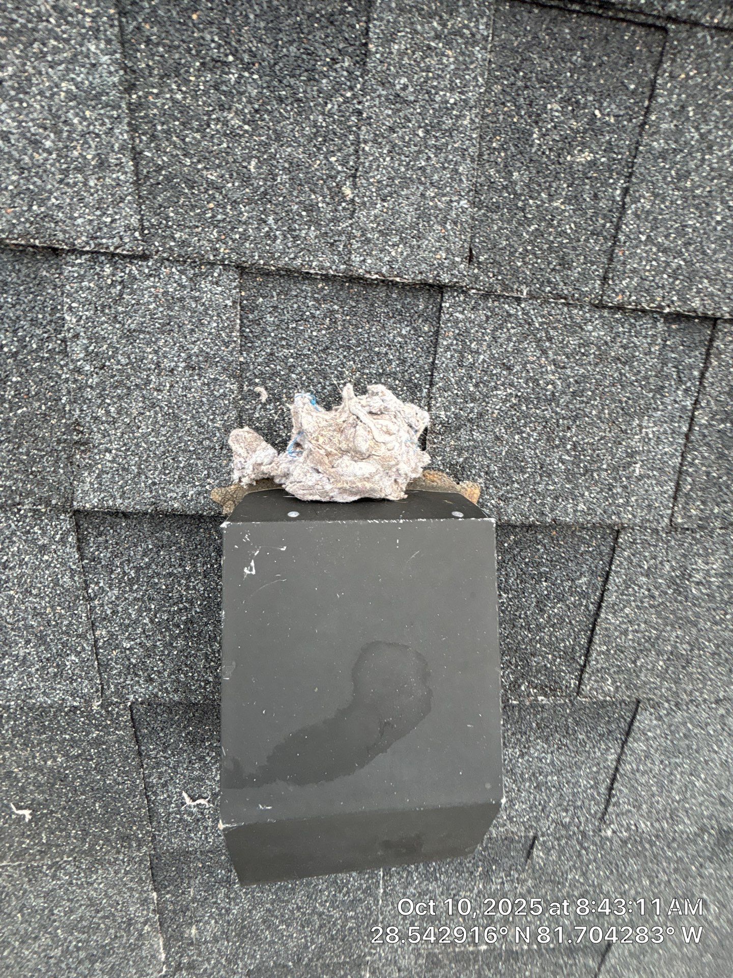Dryer Vent Cleaning in Clermont by Hygienic Air, Inc