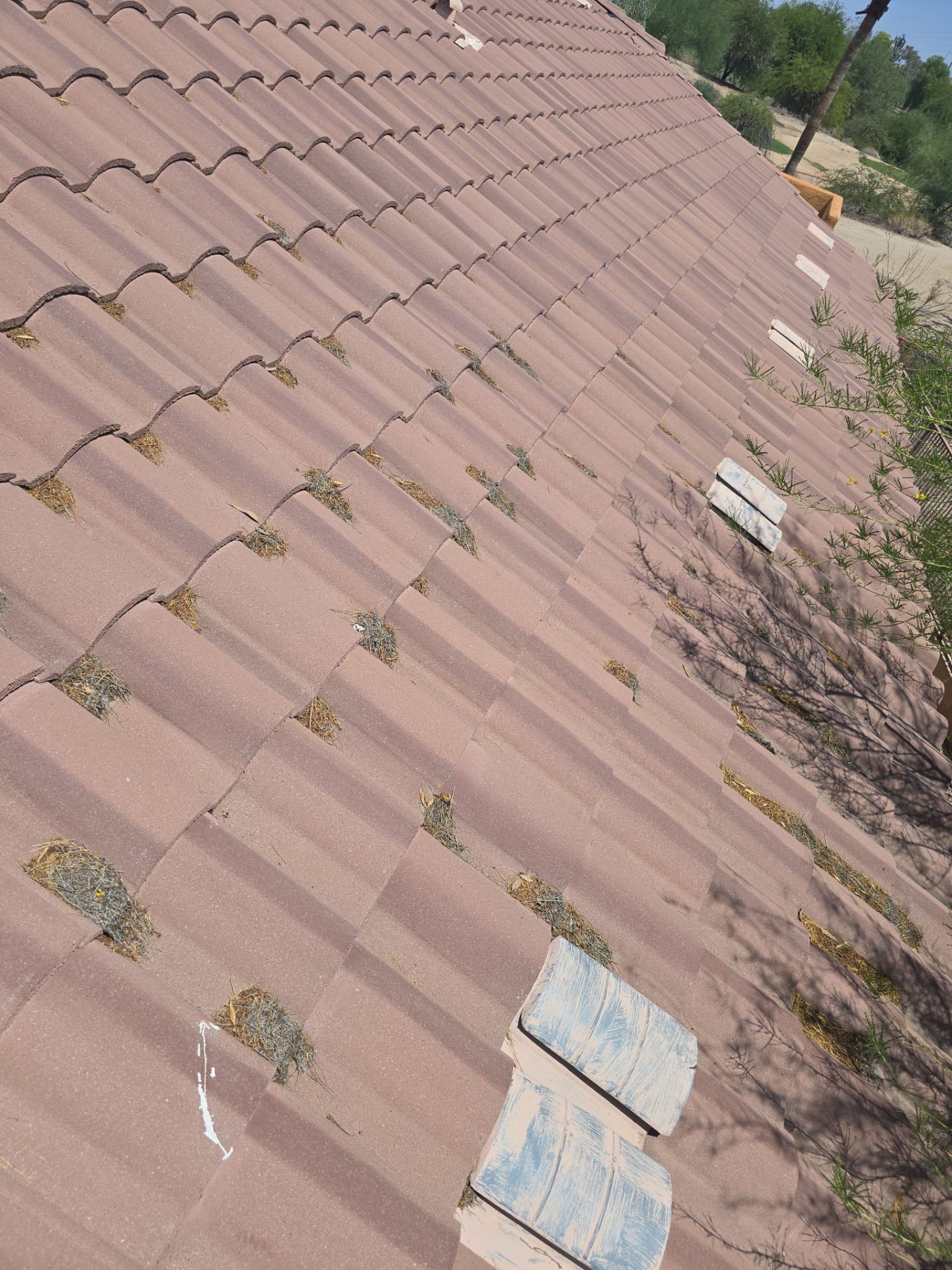 Project in Phoenix, AZ by Showtime Roofing & Coatings LLC