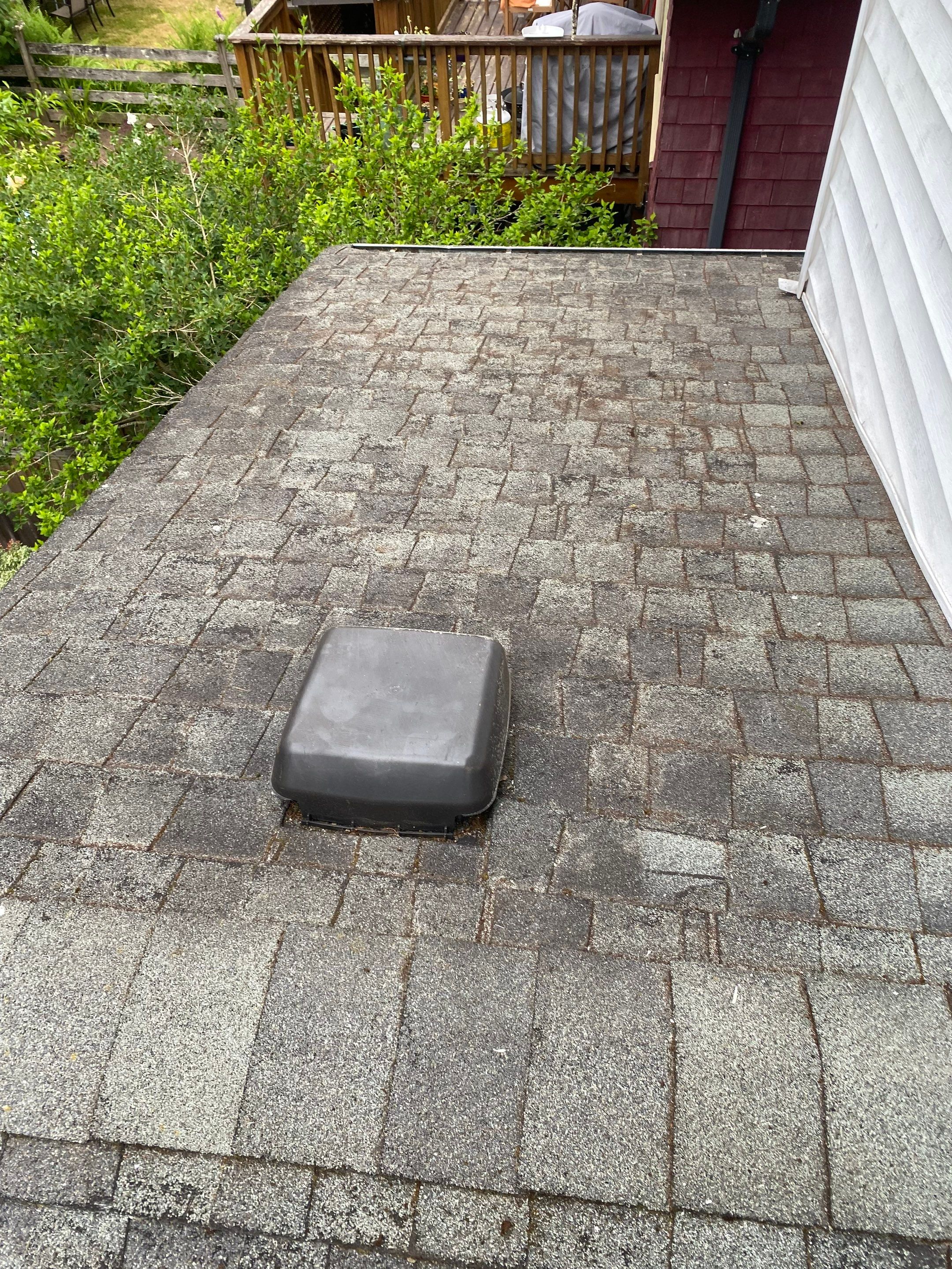 Soft Wash Shingles & Siding - Gutter Cleaning - Fascia Painting  by YVR Construction Group