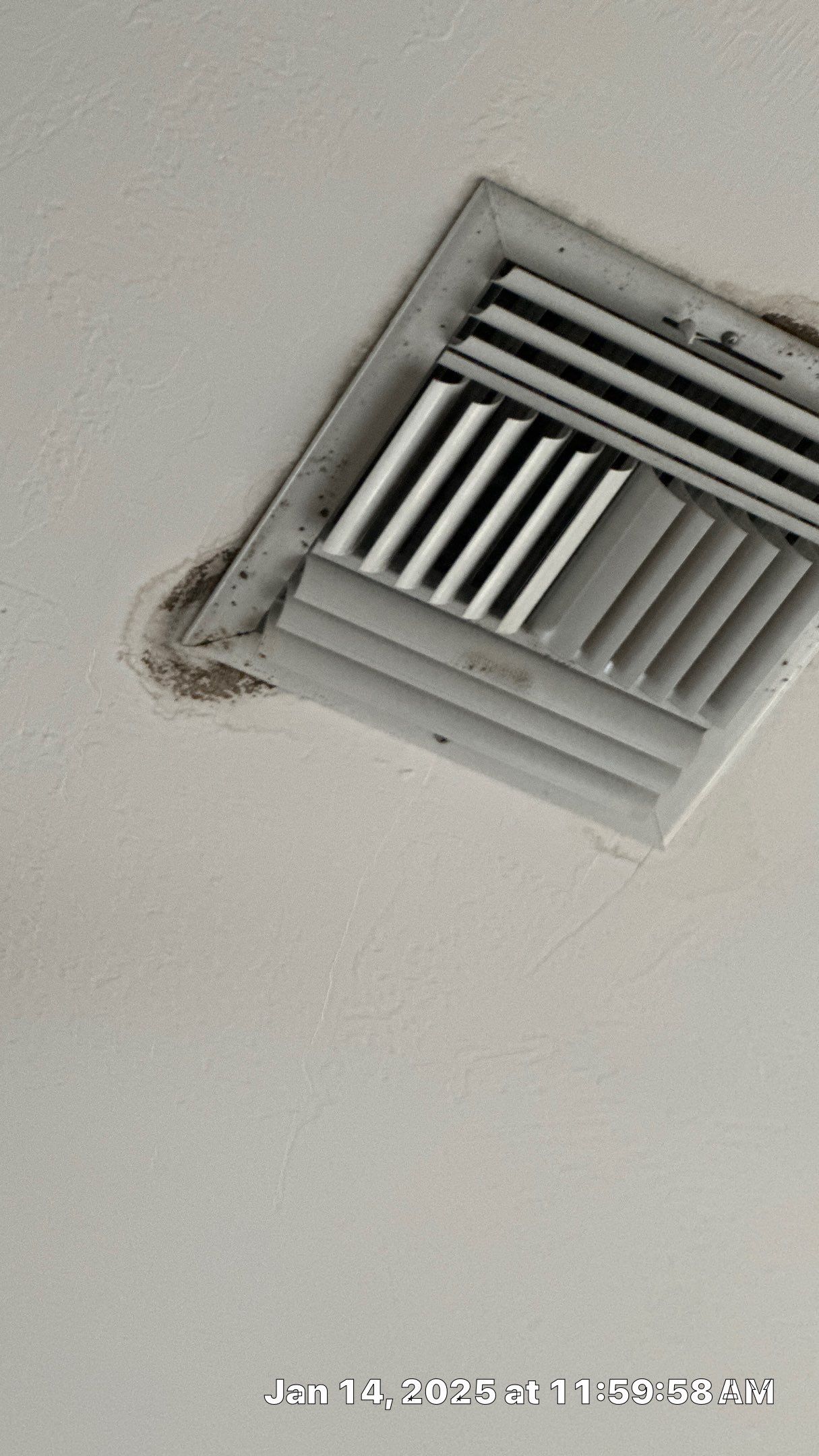 Mold Assessment using IR Camera, Moisture Meter, Air Cassette samples and Tape lifts by Building performance Solutions LLC