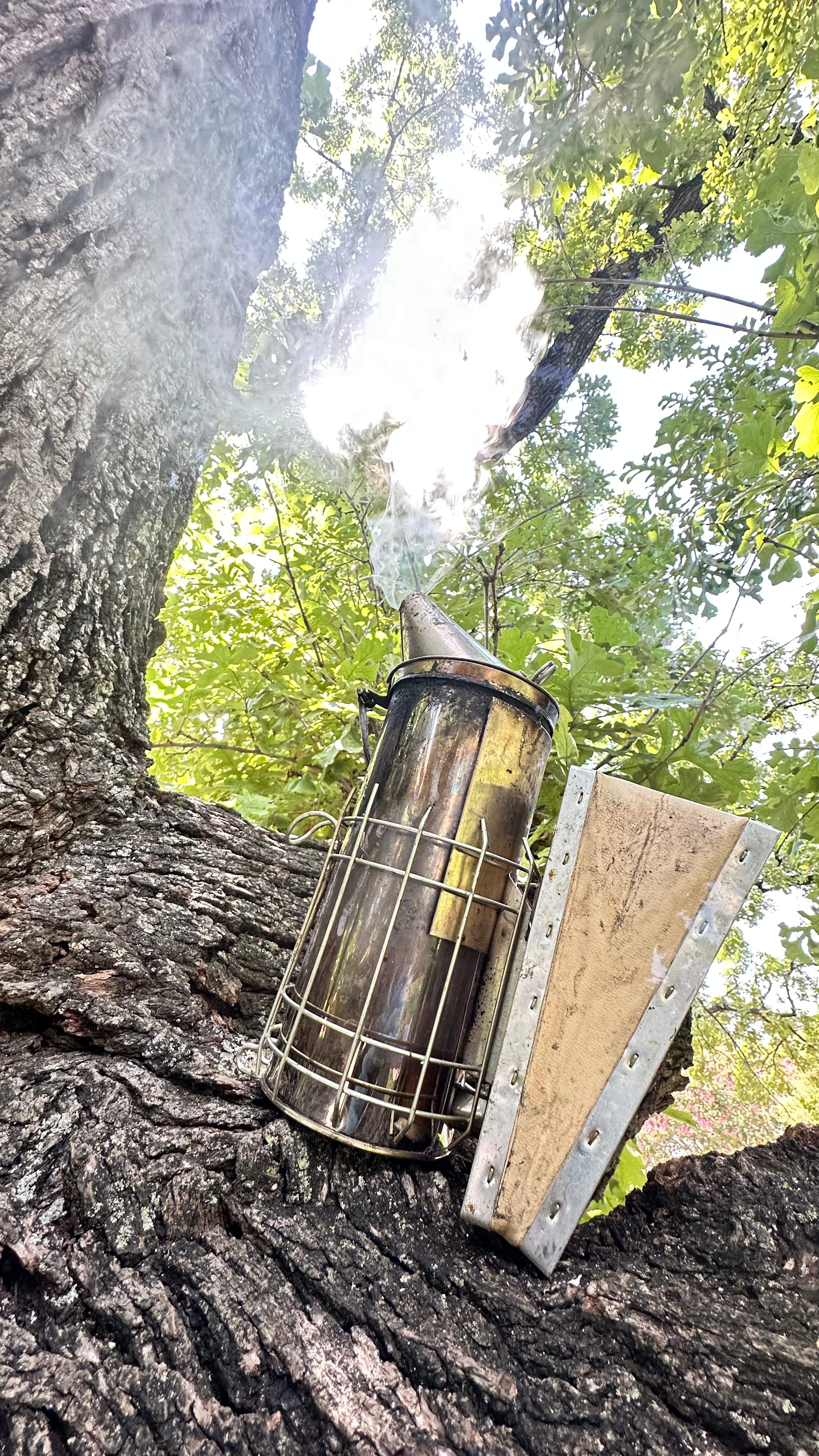 Tight Squeeze by Rockwall Honey Bee Company