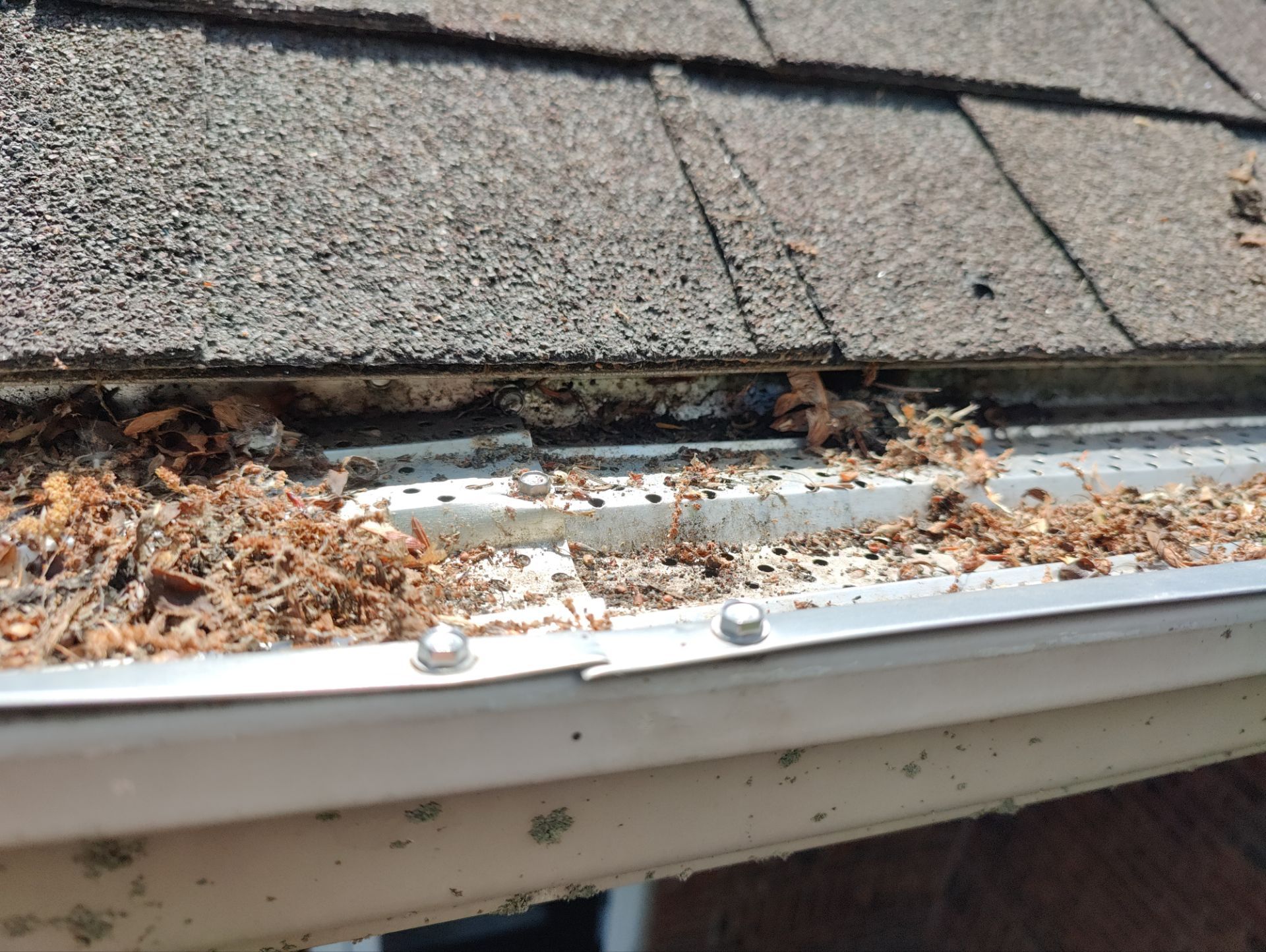 Roof Replacement using CertainTeed Landmark Max Def Shenandoah by 180 Contractors