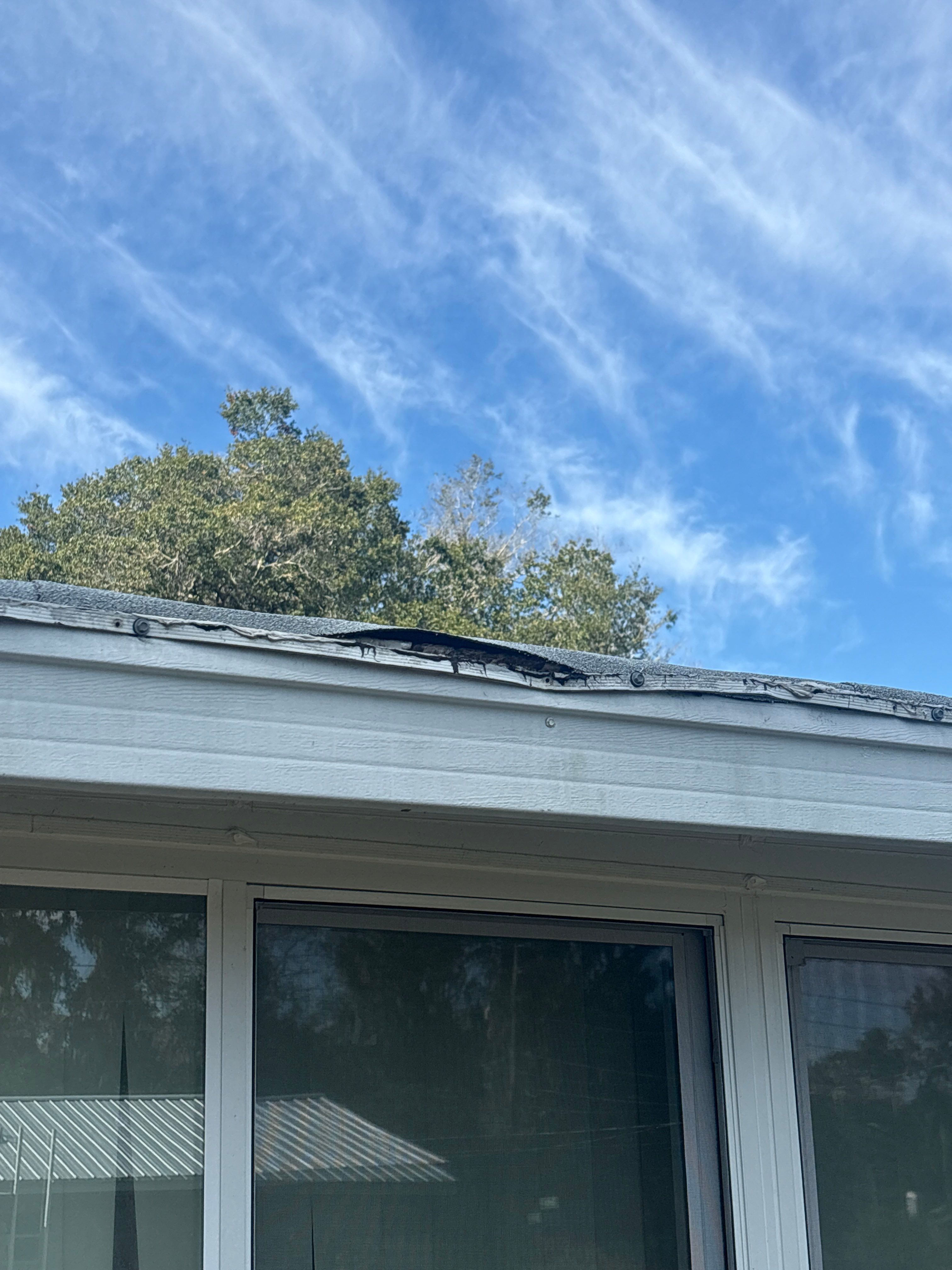 Panther Roof featured photo.