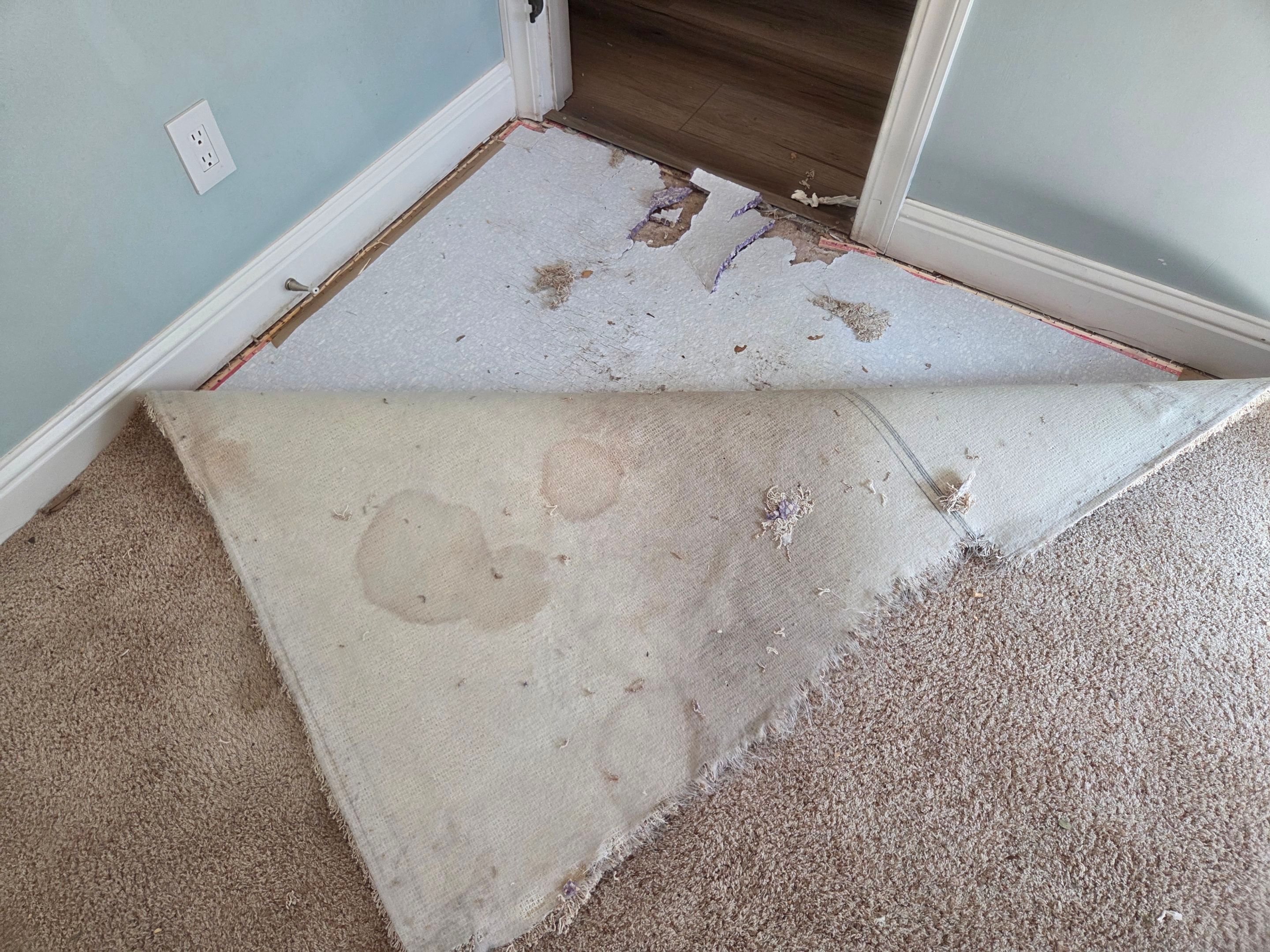 Carpet Repair in Shingle Springs by Ardent Carpet Restore LLC