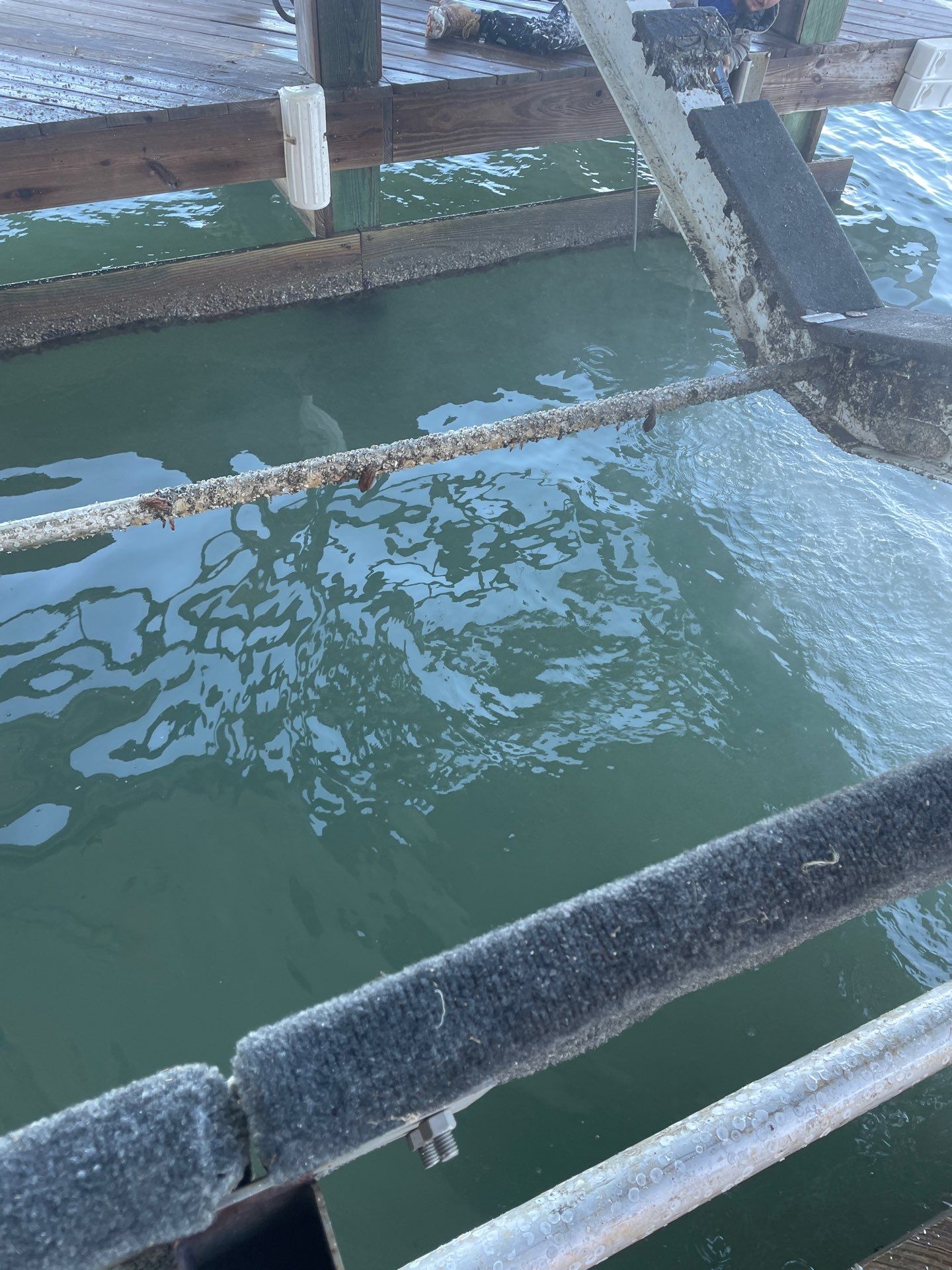 Waterfront Walkout Waterproofed! by Bayfront Roofing and Construction