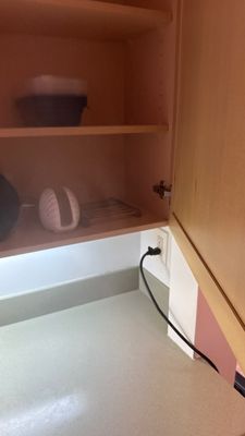 Black Mold Removal — Fort Myers, FL