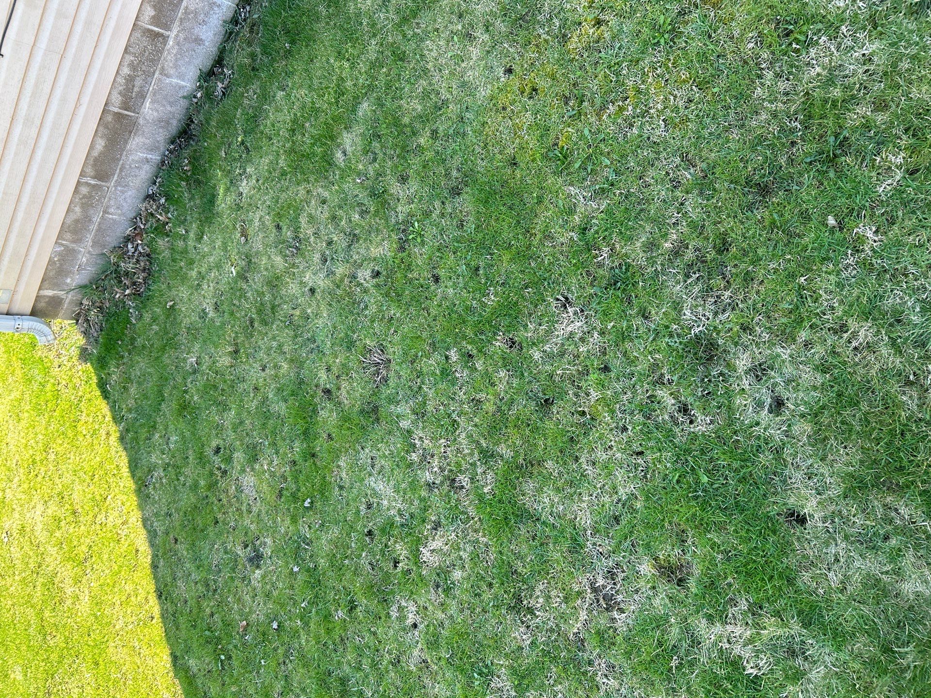 Roof and Siding Replacement using Norandex Cedar Knoll Graphite Siding and Owens Corning Durations in Onyx Black by WIW Enterprises Inc