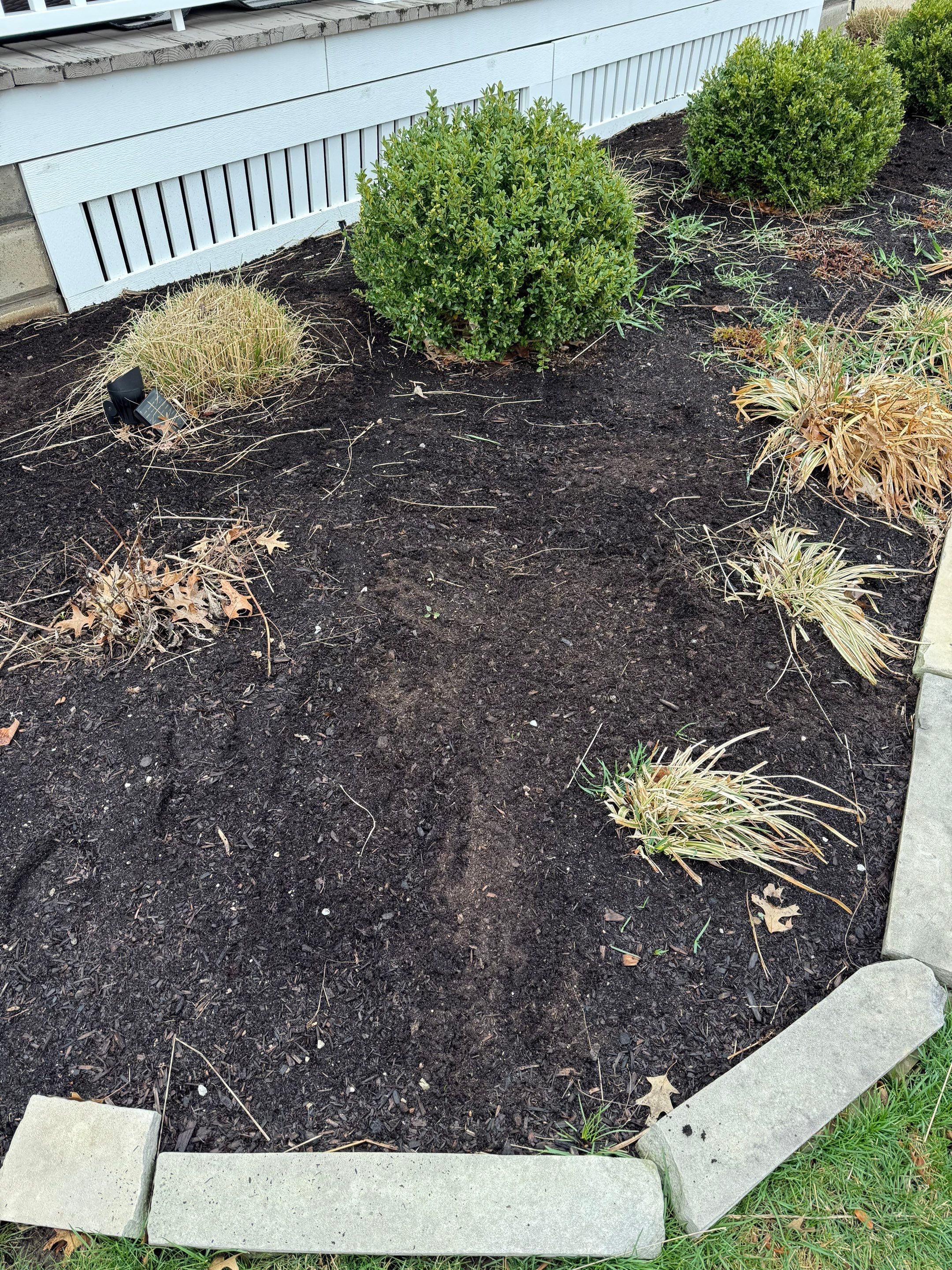 Colorful Cottage Install by Elm Rose Gardens