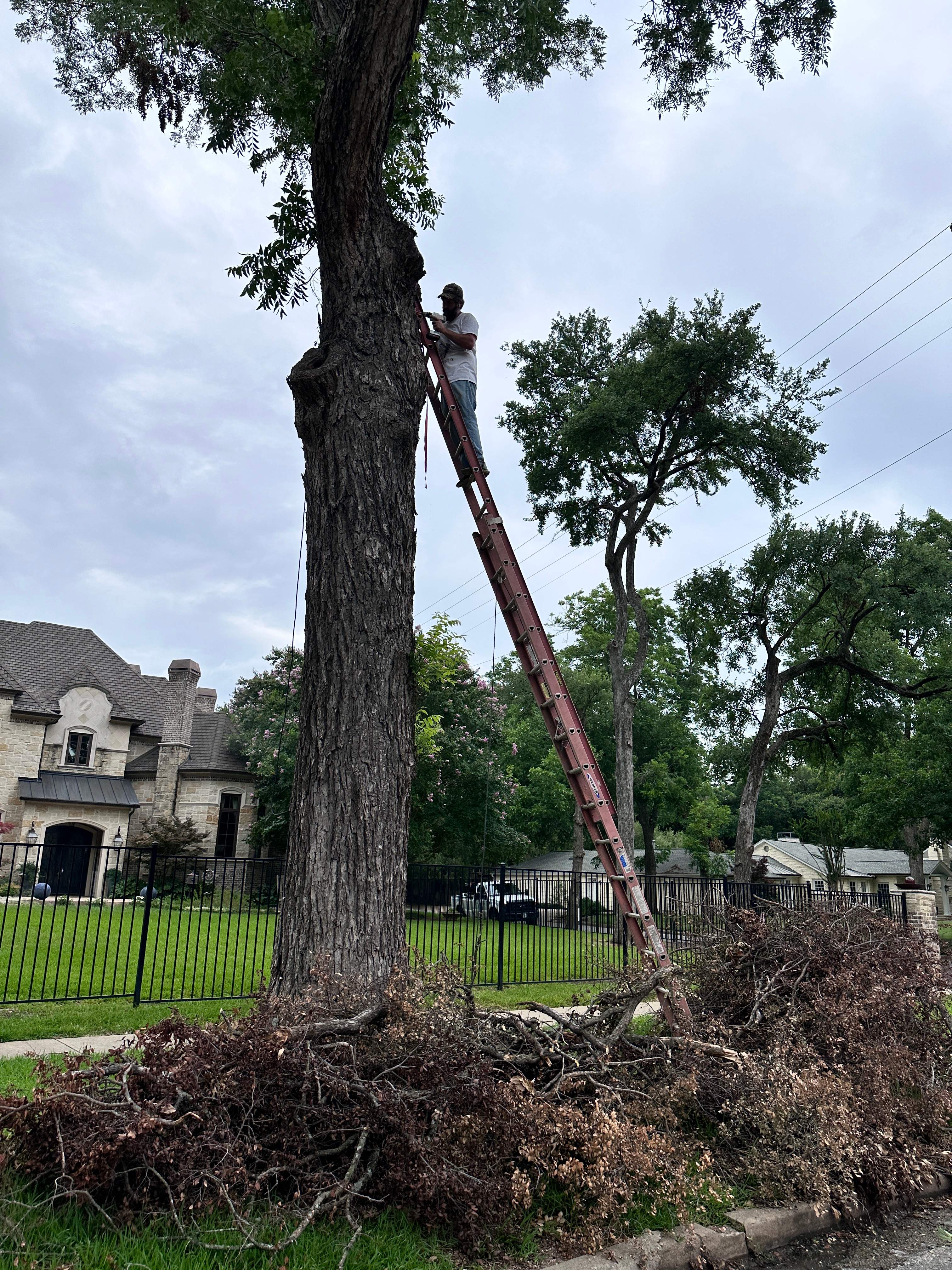Smile! by Rockwall Honey Bee Company