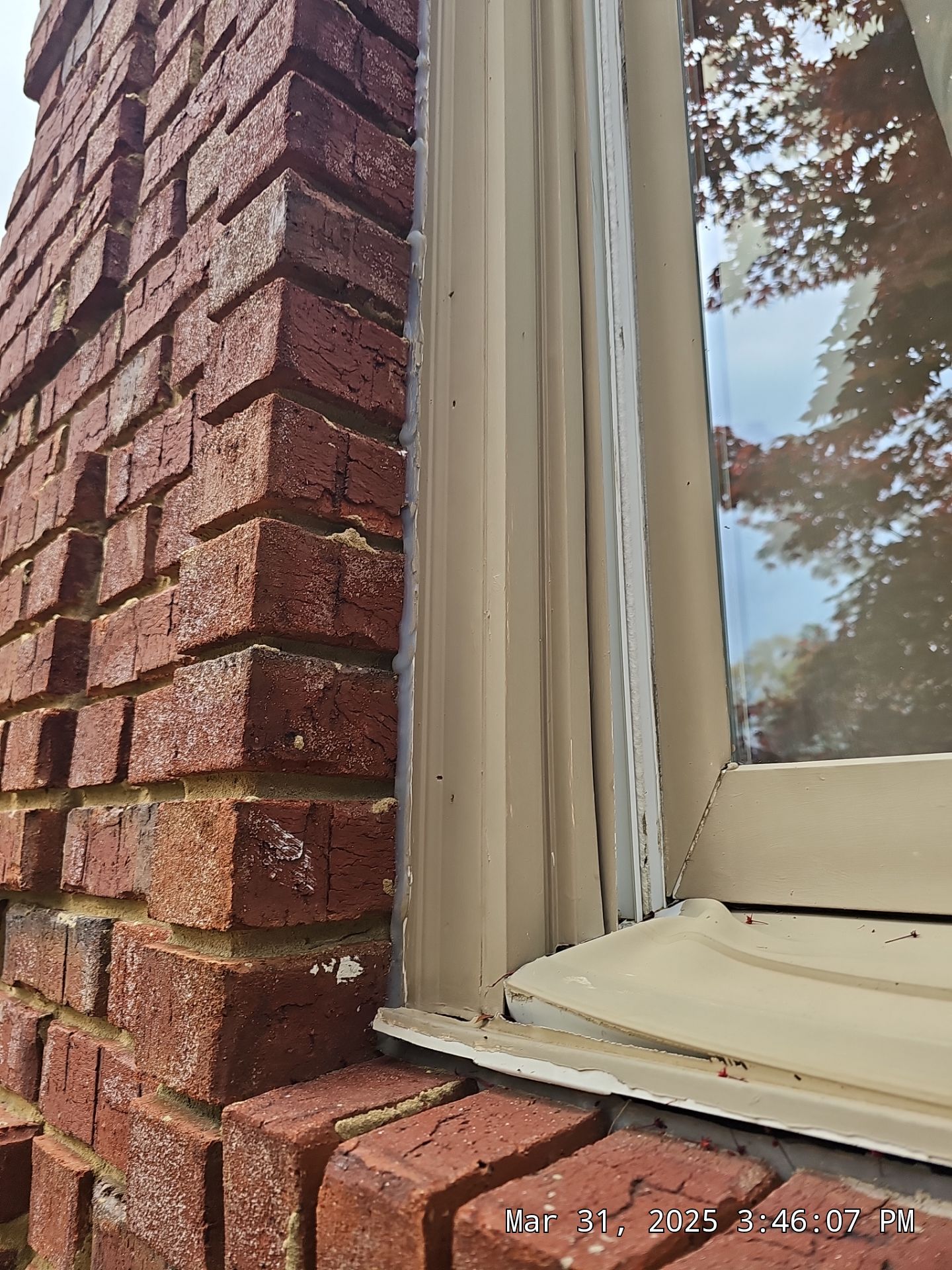 Hoyt Project in Birmingham by The Window Source