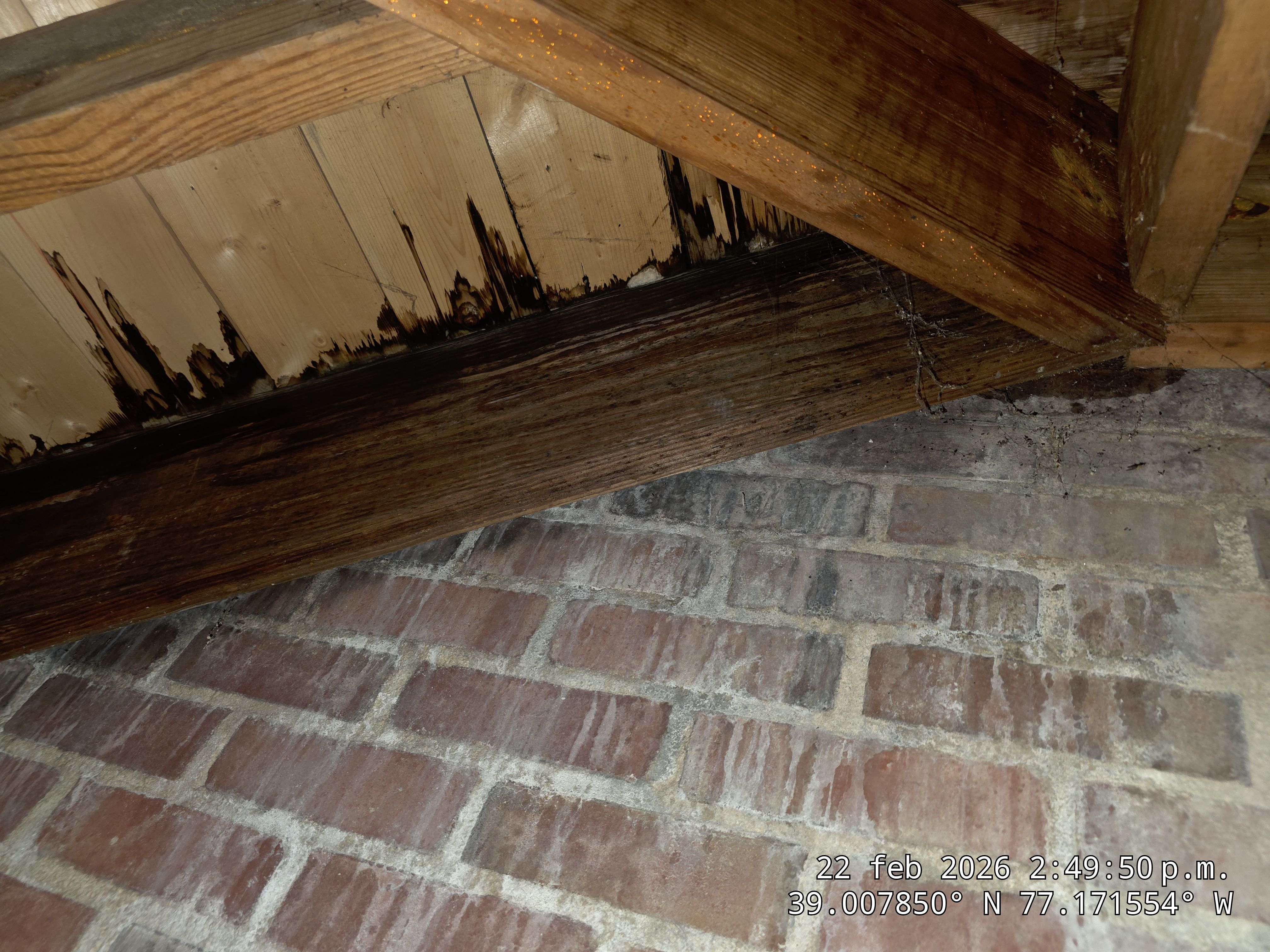 Project in Bethesda by ZA&MY SERVICES LLC