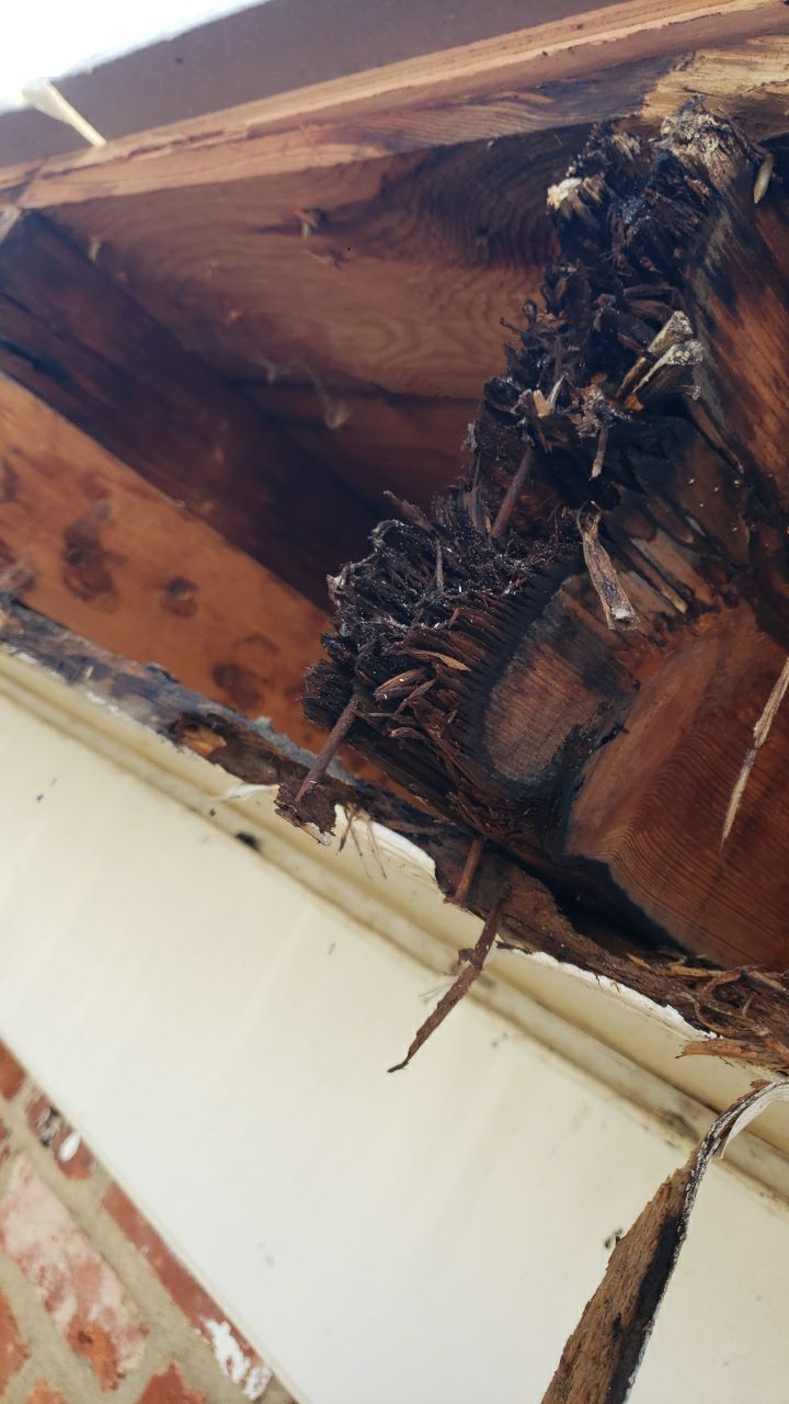 Arlington: CertainTeed Landmark Pro Designer Shingles in Max Def Burnt Sienna by RM Banning, Inc.