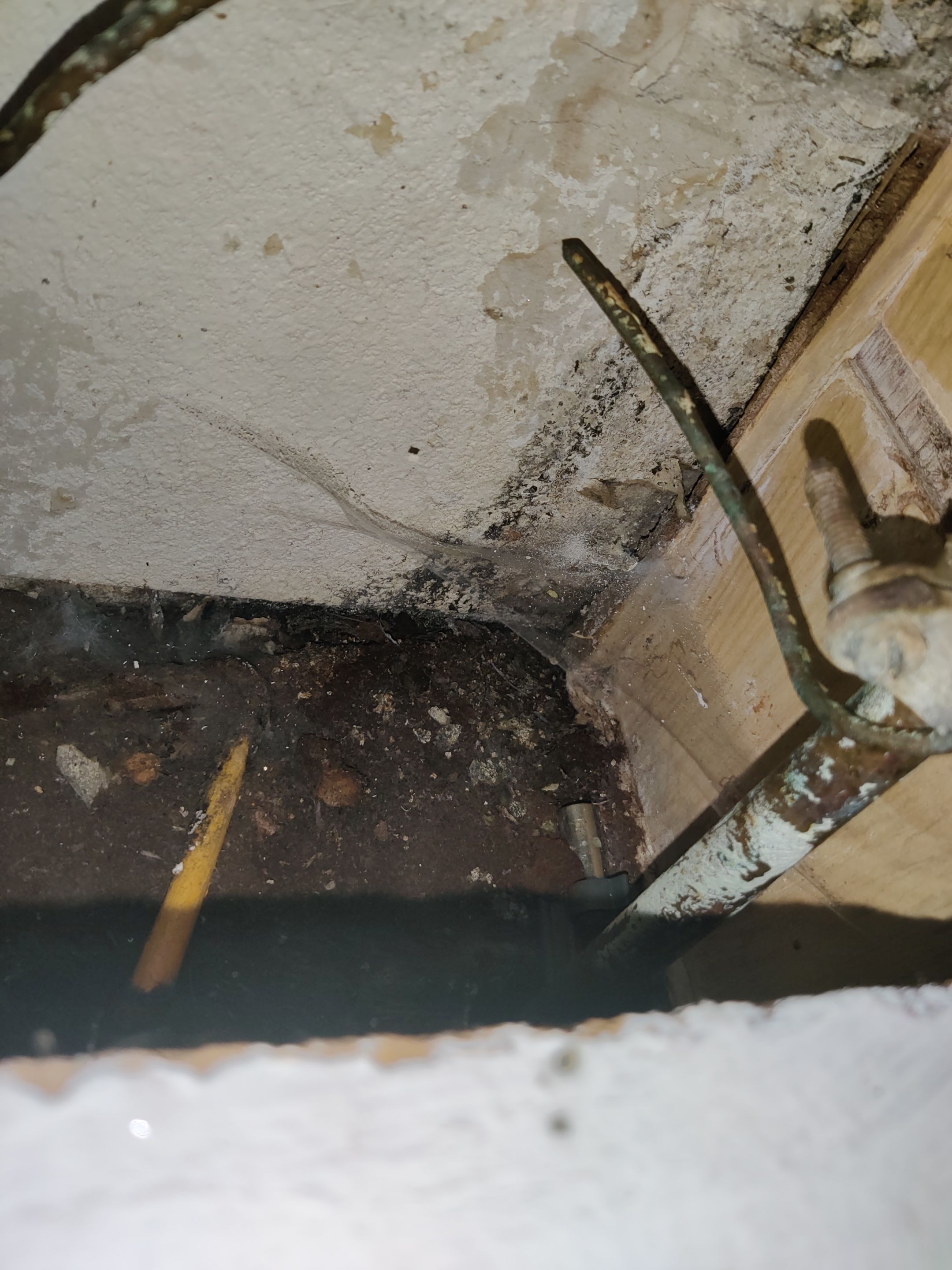 Mold Remediation using Containment by Accountable Home Services