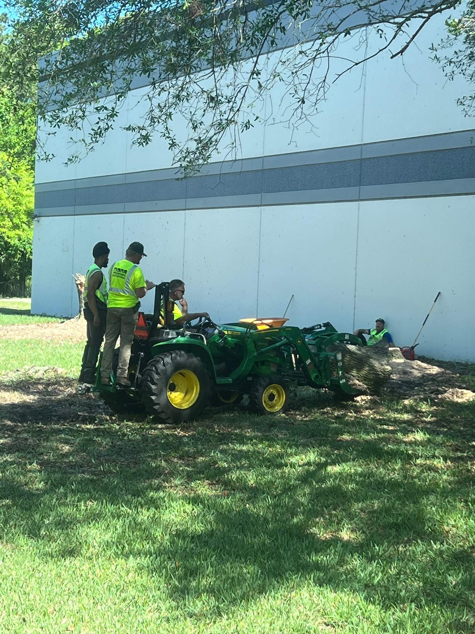Tree Work | Autobahn Raceway by ProGreen Services