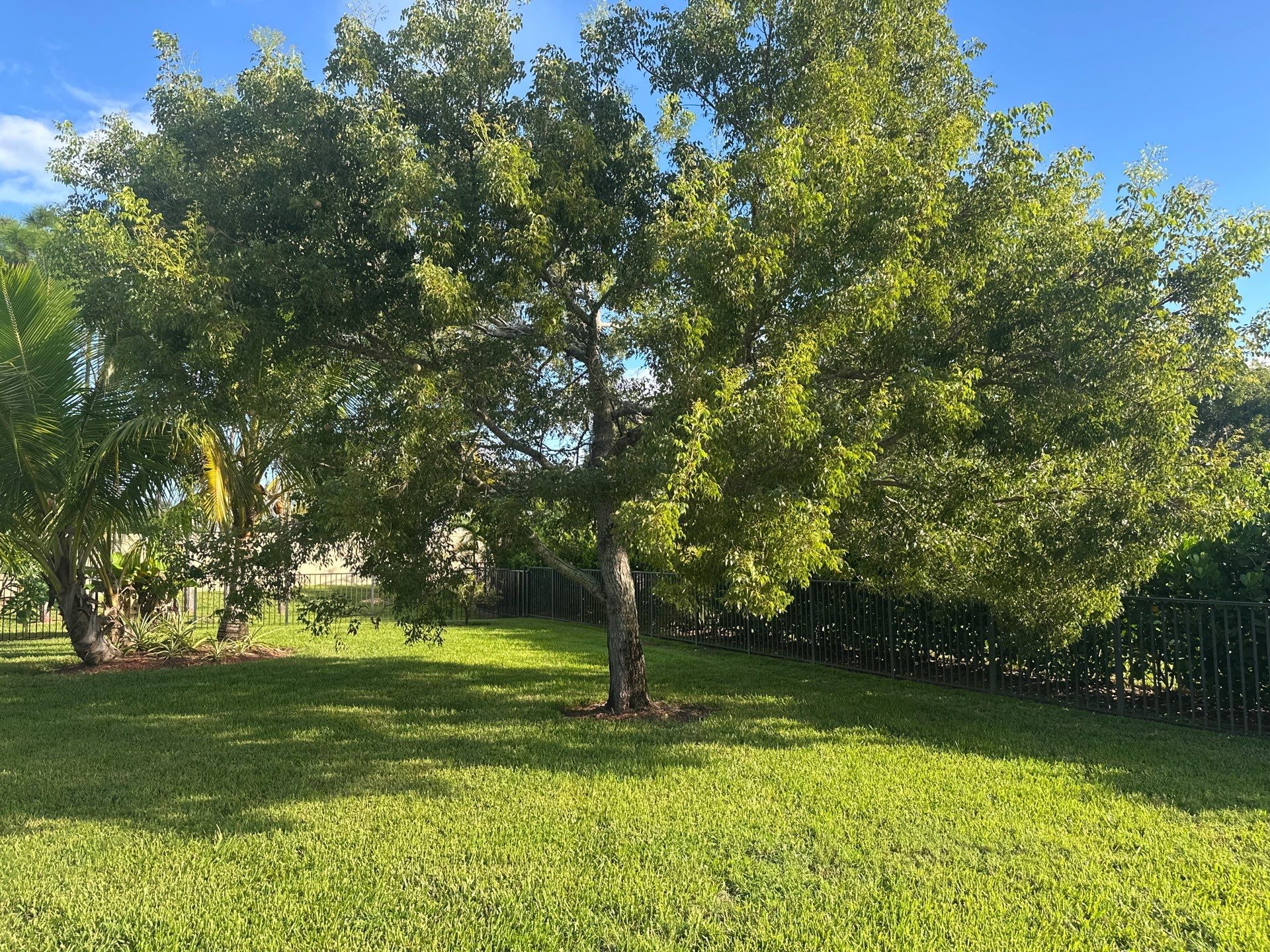 From Overgrown to Picture-Perfect - Stuart Refresh by Alpha Zeta Enterprises Inc