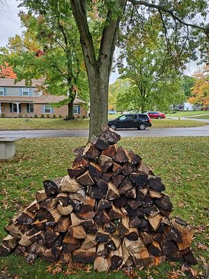 Firewood Delivery  using Seasoned Firewood
