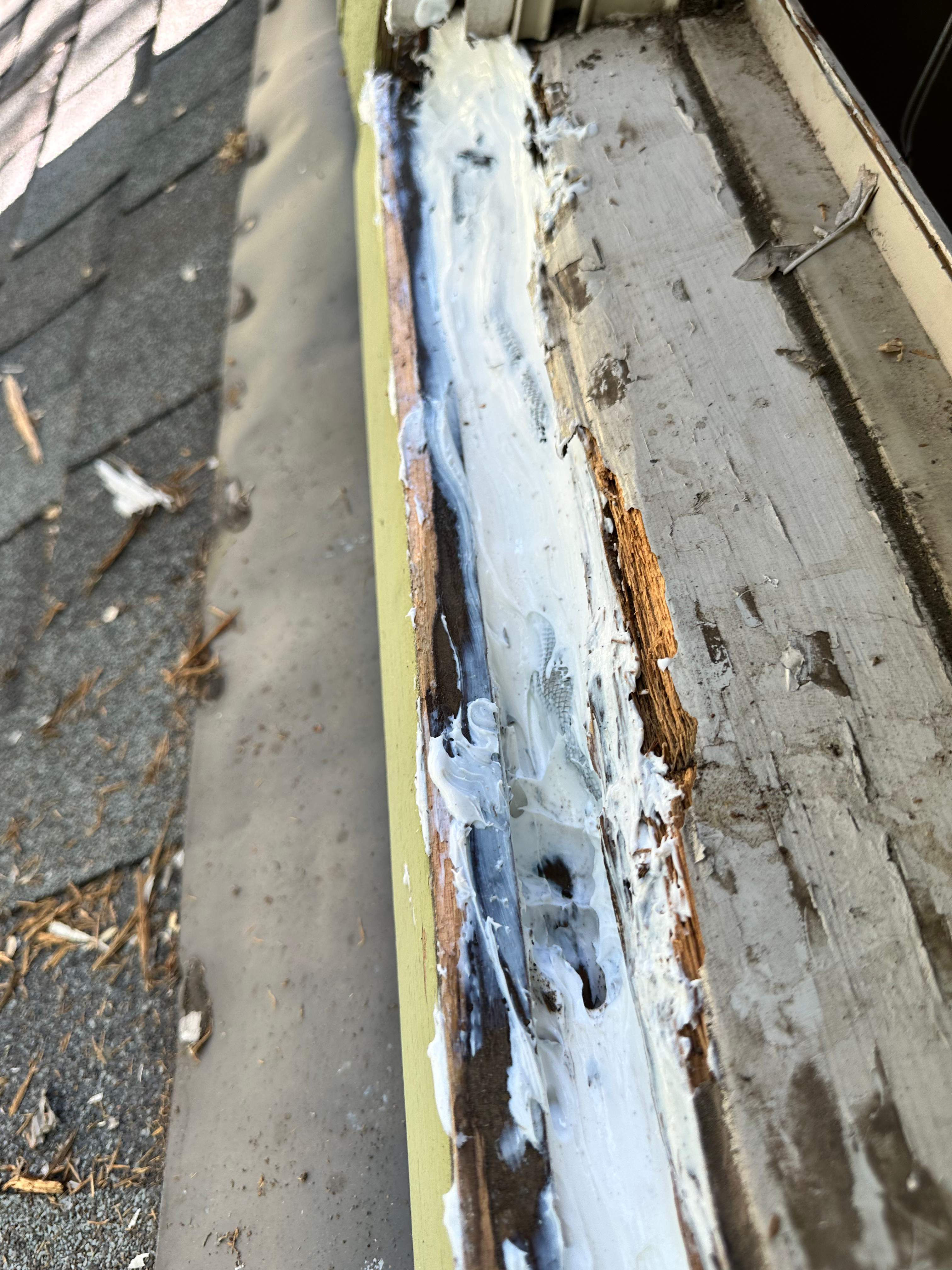 Yellowjackets in Bedroom by Rockwall Honey Bee Company