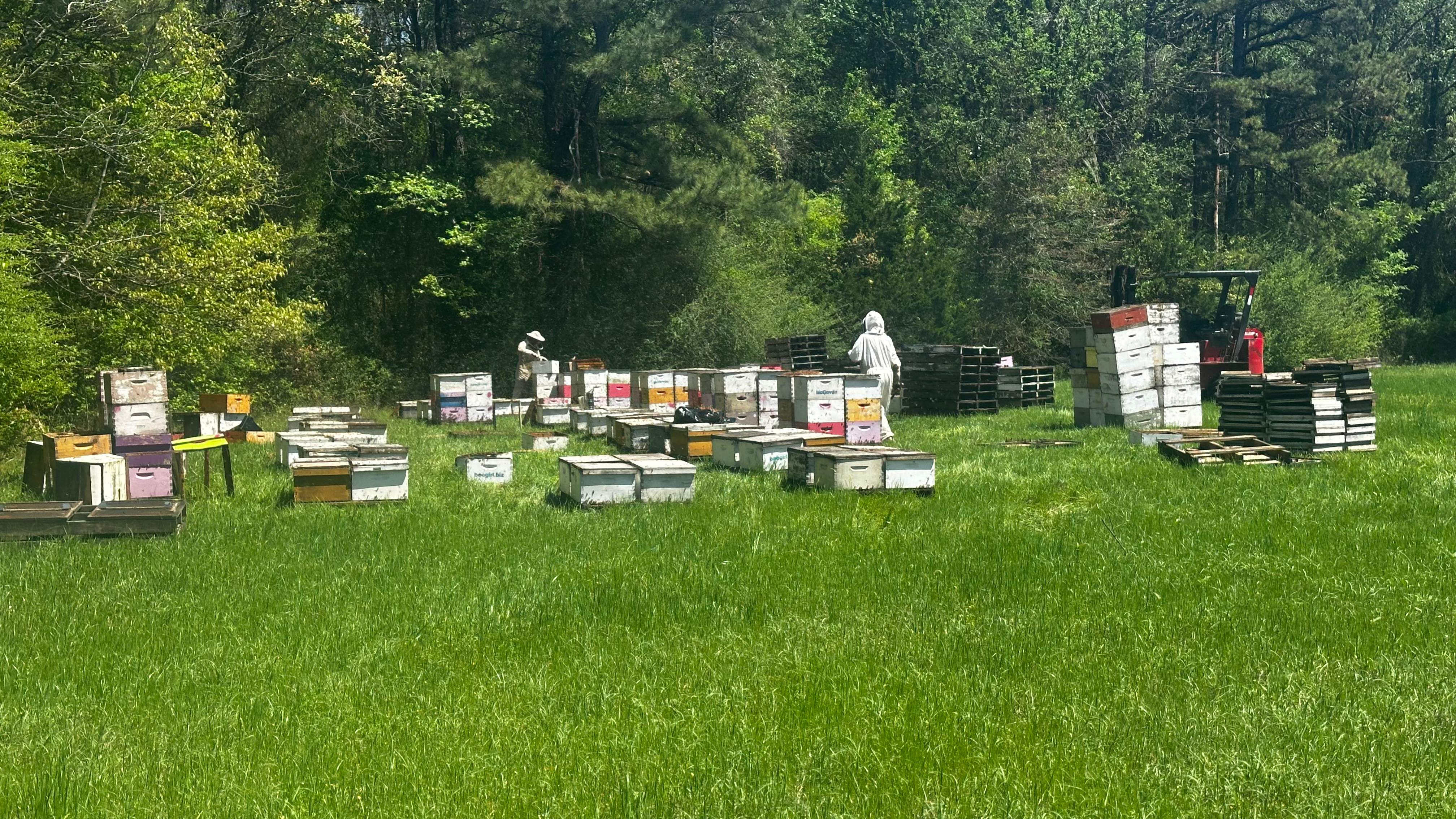 Traylor's Hay Meadow Apiary by Rockwall Honey Bee Company