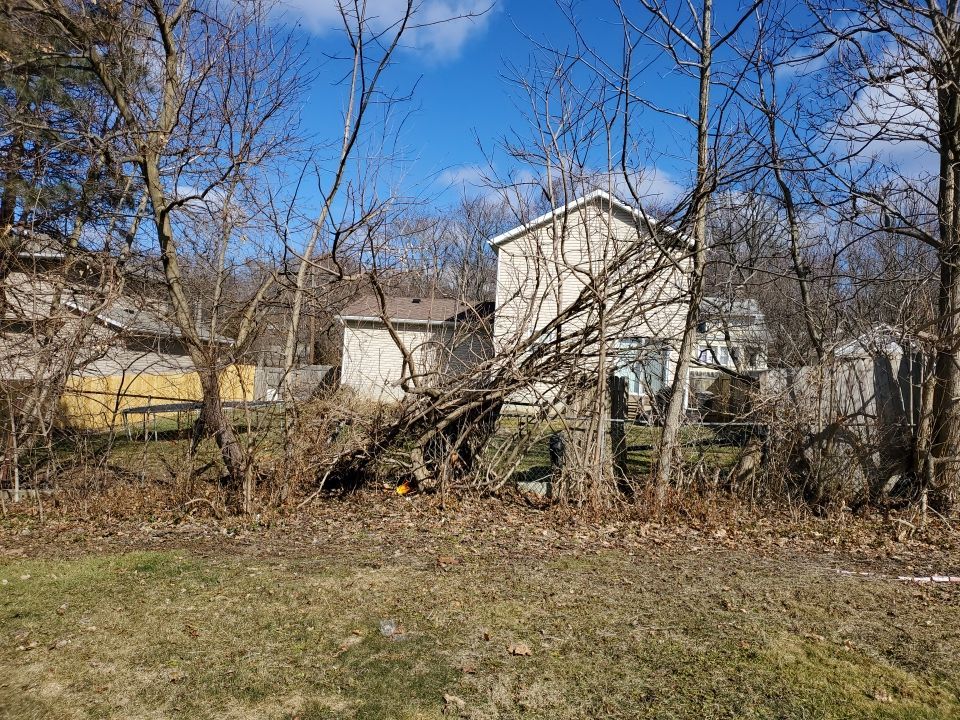 Tree Removal using Tree Removal by Mike Jones & Sons Tree Service LLC 