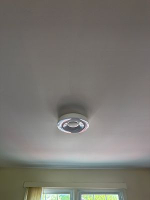 Chandelier & Smart Ceiling Light Install