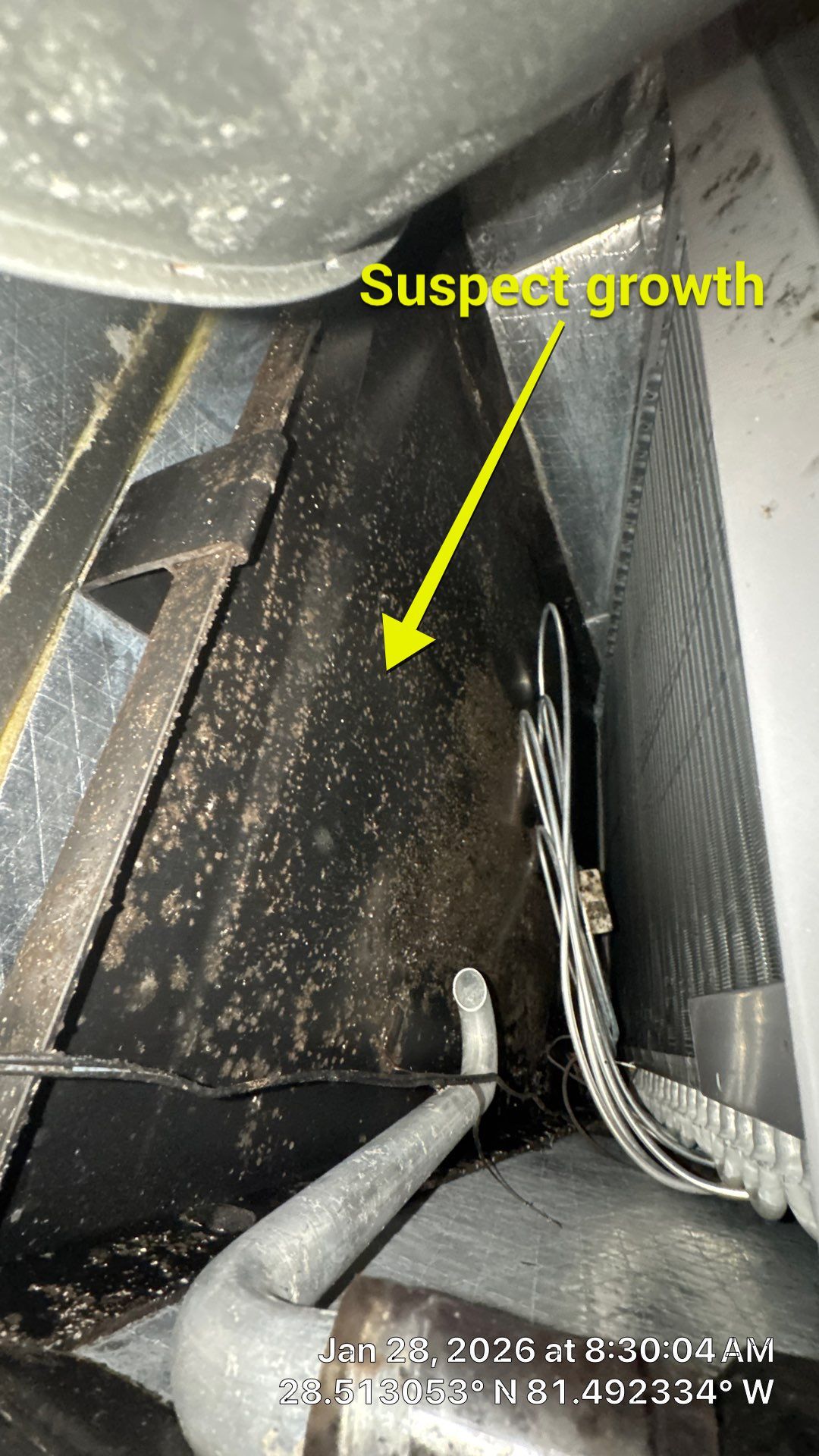 Air Duct Cleaning Encapsulation in Orlando by Hygienic Air, Inc