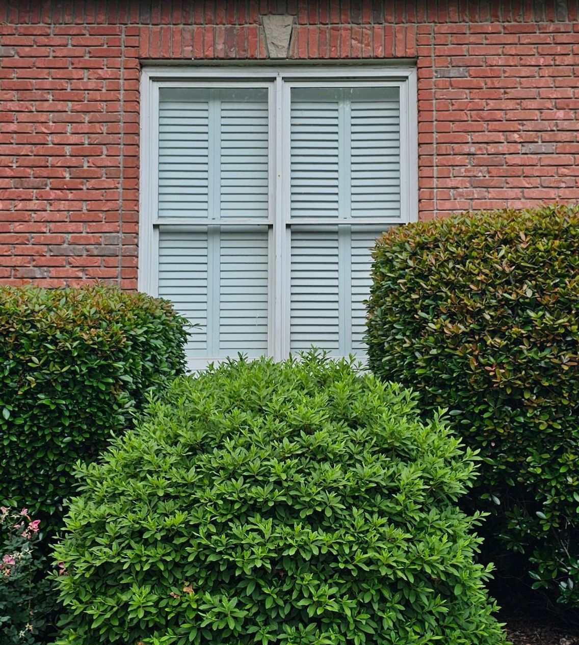 Arrington Project in Hoover by The Window Source