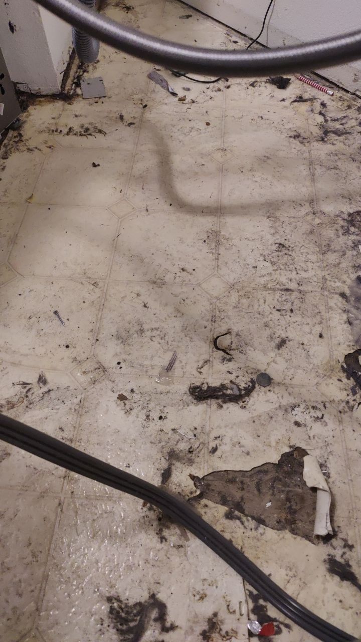 Water Damage  by Accountable Home Services