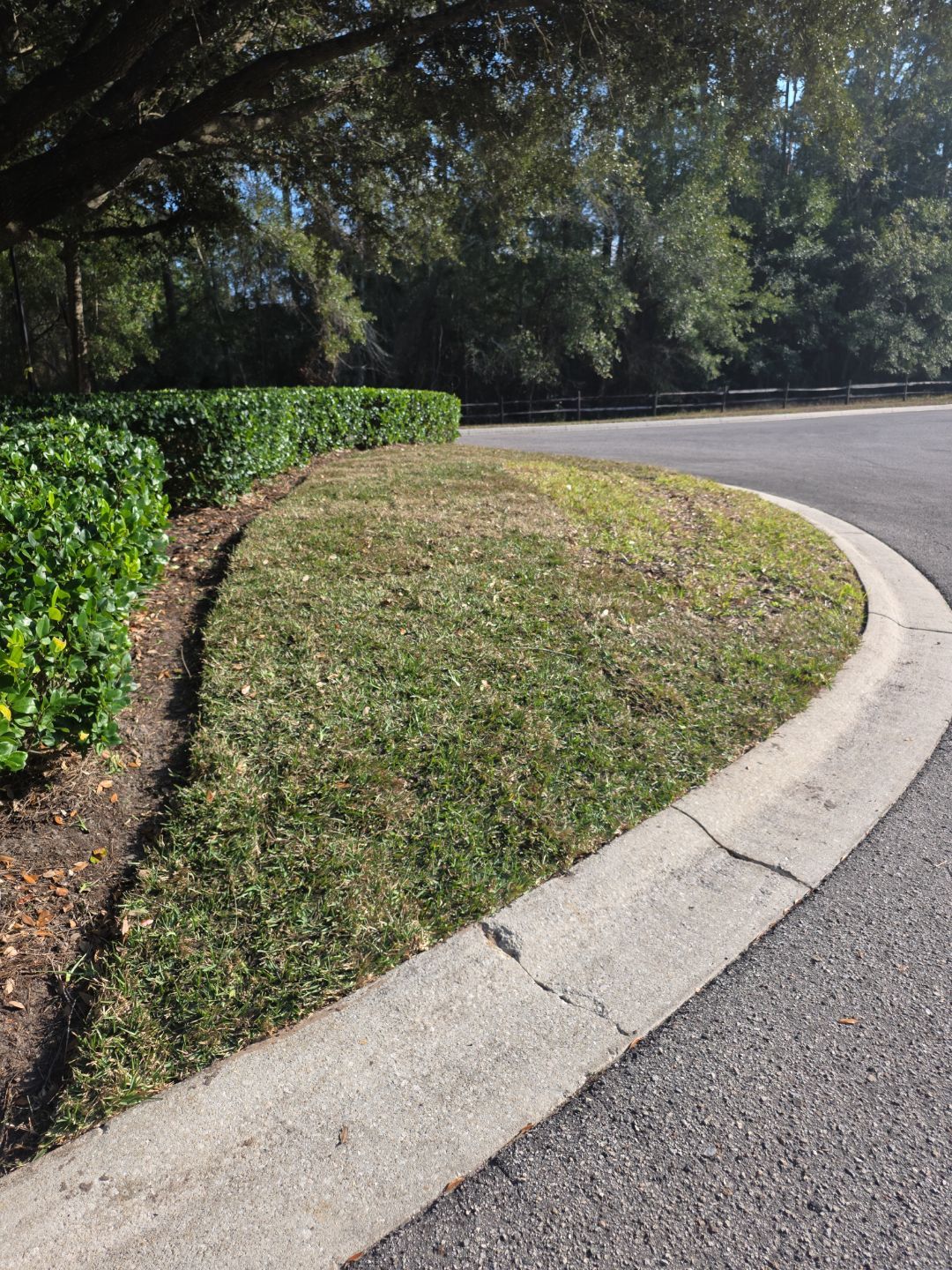 Courtyards of Deerwood | Sodding Work by ProGreen Services