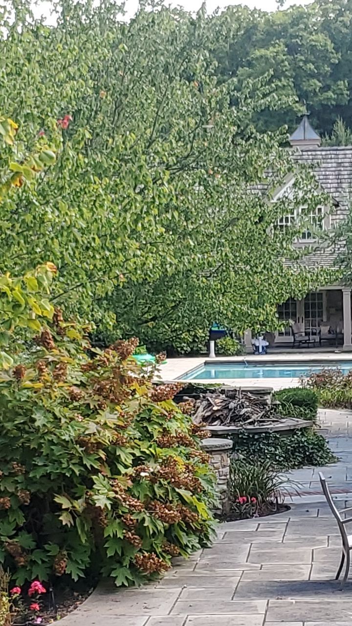 NEW CertainTeed Grand Manor from old Cedar Shake! by Absolute Roofing and Construction