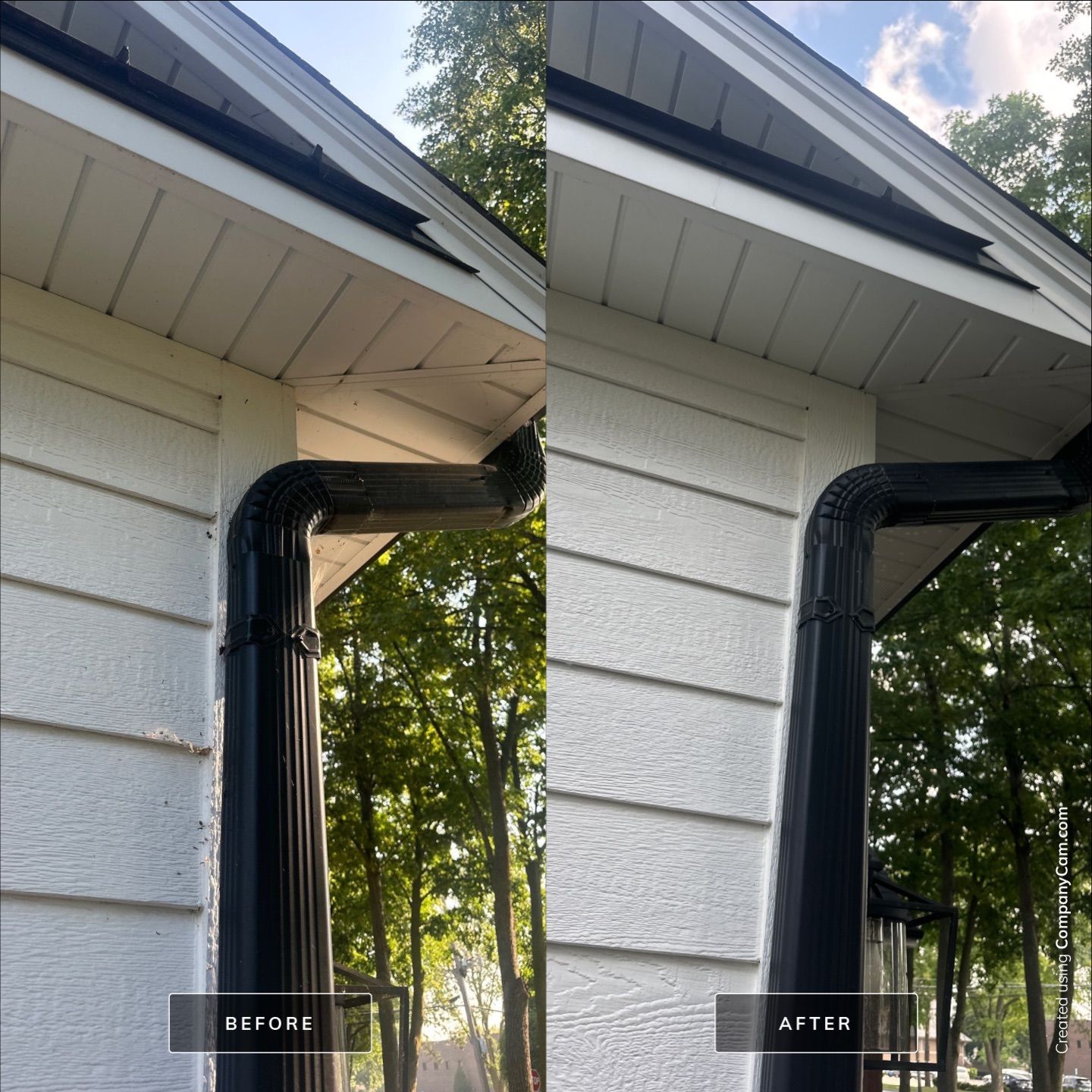 Project in Palatine by Simmons Power & Soft Washing