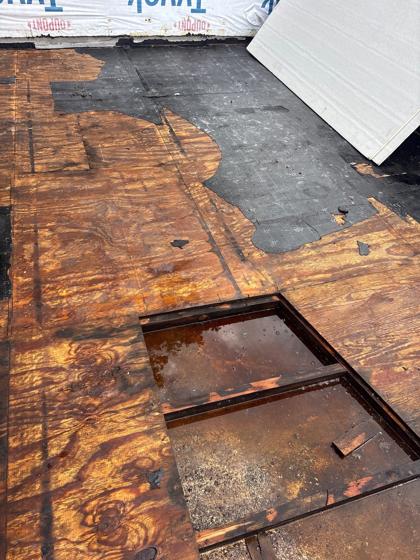 TPO Roof Replacement Project in Philadelphia, Pennsylvania by Philadelphia Quality Roofing