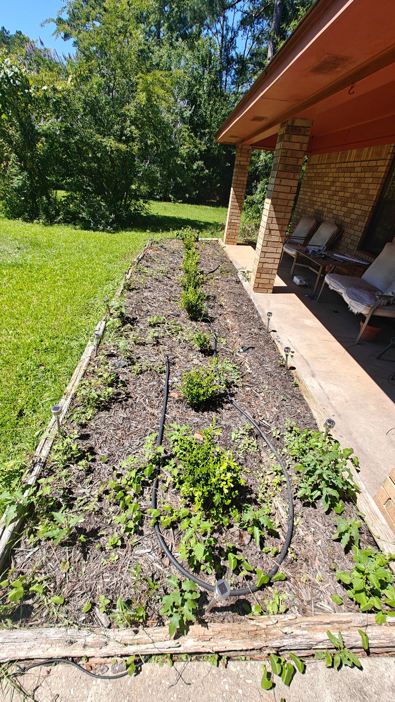 Bi Weekly Landscaping/ Weeding  by College Bros Outdoor services