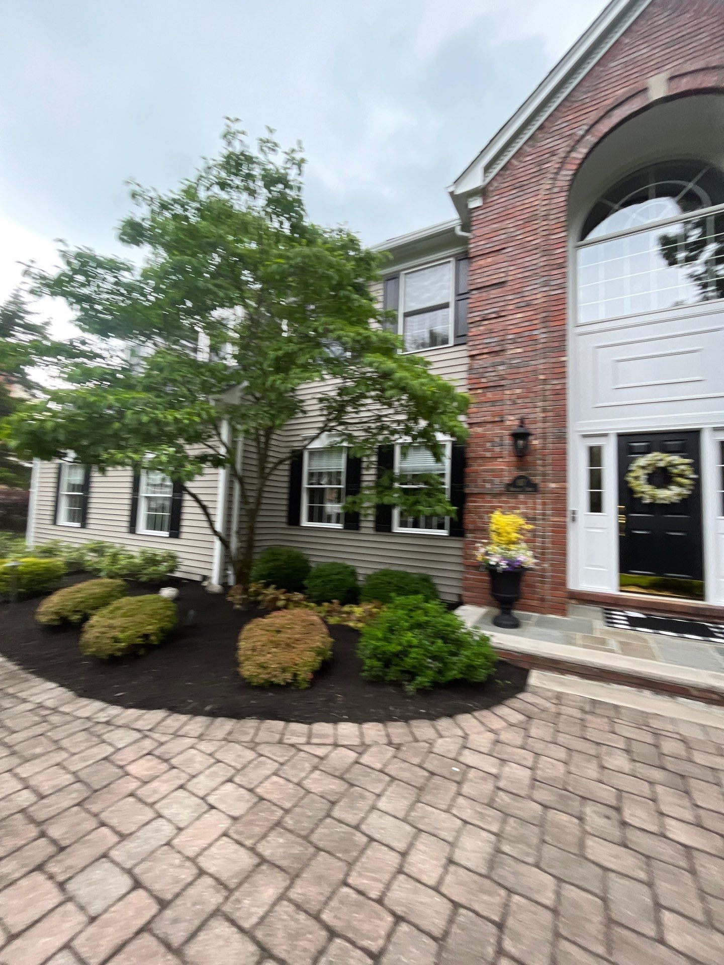 Comprehensive Shrub and Ornamental Bed Maintenance in Basking Ridge by Ants Plants