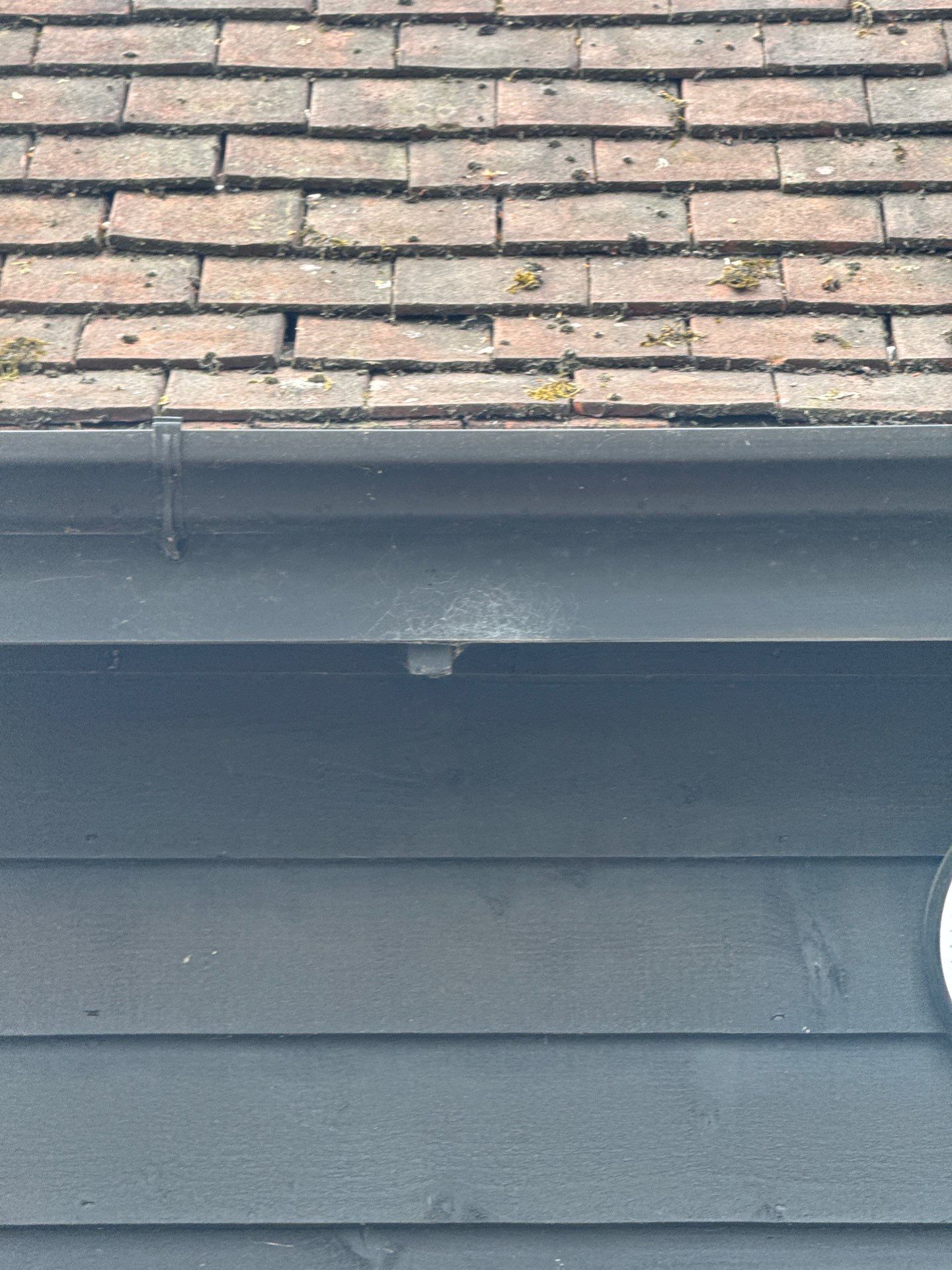 Roof Clean - Patio Clean using 18inch Whirlaway FSC by Ges Exterior Cleaning ltd